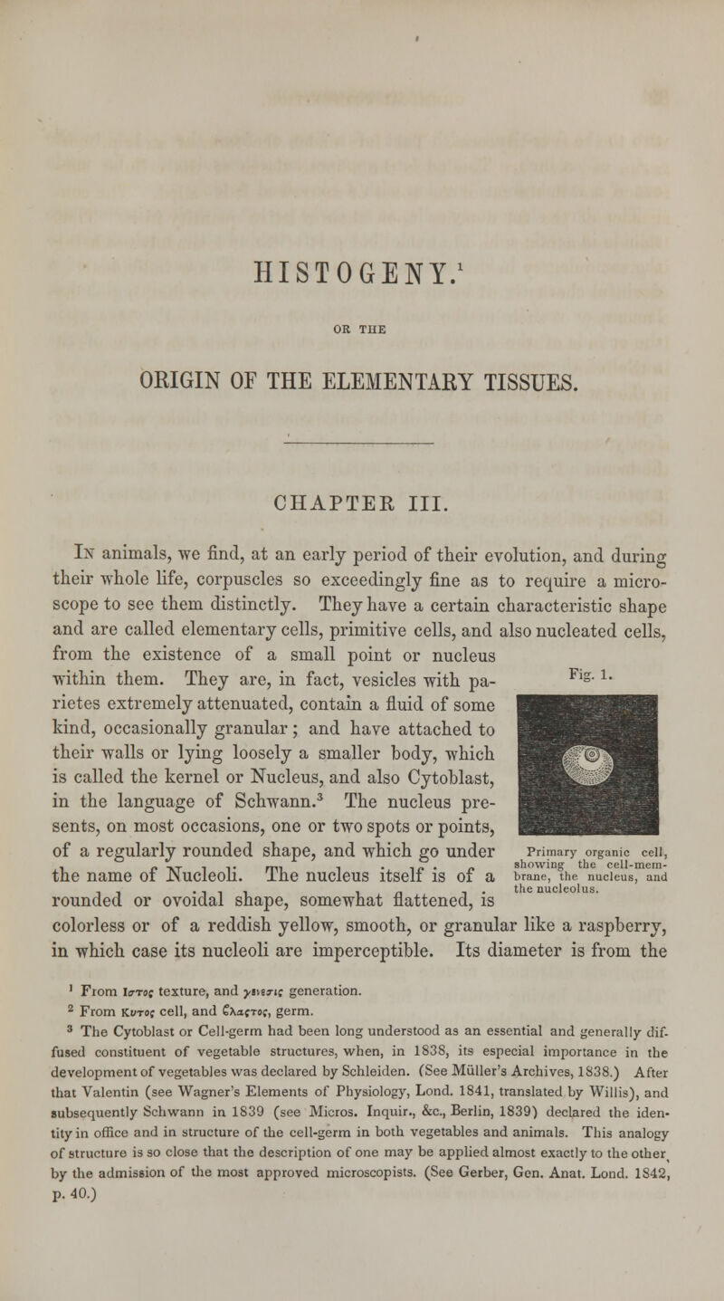 HISTOGENY.1 ORIGIN OF THE ELEMENTARY TISSUES. CHAPTER III. In animals, we find, at an early period of their evolution, and during their whole life, corpuscles so exceedingly fine as to require a micro- scope to see them distinctly. They have a certain characteristic shape and are called elementary cells, primitive cells, and also nucleated cells, from the existence of a small point or nucleus within them. They are, in fact, vesicles with pa- Flg- lm rietes extremely attenuated, contain a fluid of some kind, occasionally granular; and have attached to their walls or lying loosely a smaller body, which is called the kernel or Nucleus, and also Cytoblast, in the language of Schwann.3 The nucleus pre- sents, on most occasions, one or two spots or points, of a regularly rounded shape, and which go under Primary organic ceil, i i» -*r t ■%• mi i i/» • n showing the cell-mem- tne name ot .Nucleoli, lne nucleus ltselt is 01 a brane, the nucleus, and ,, . , , , in -i • tne nucleolus. rounded or ovoidal shape, somewhat flattened, is colorless or of a reddish yellow, smooth, or granular like a raspberry, in which case its nucleoli are imperceptible. Its diameter is from the 1 From Iirrof texture, and ysvej-ic generation. 2 From Kuto; cell, and CXajTof, germ. 3 The Cytoblast or Cell-germ had been long understood as an essential and generally dif- fused constituent of vegetable structures, when, in 1838, its especial importance in the development of vegetables was declared by Schleiden. (See Miiller's Archives, 1838.) After that Valentin (see Wagner's Elements of Physiology, Lond. 1841, translated by Willis), and subsequently Schwann in 1S39 (see Micros. Inquir., &c, Berlin, 1839) declared the iden- tity in office and in structure of the cell-germ in both vegetables and animals. This analogy of structure is so close that the description of one may be applied almost exactly to the otheri by the admission of the most approved microscopists. (See Gerber, Gen. Anat. Lond. 1S42, p. 40.)