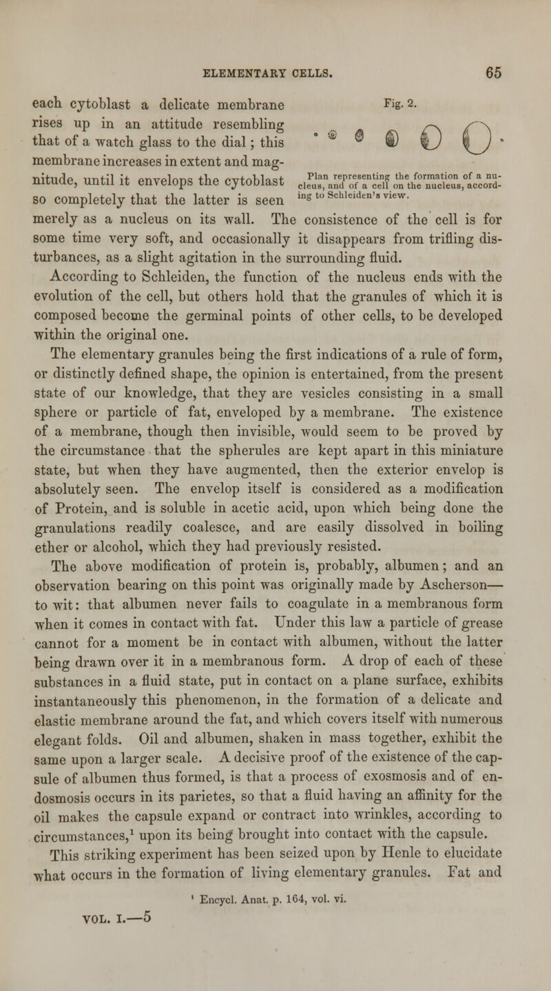 each cytoblast a delicate membrane Fis- 2- rises up in an attitude resembling ... ,-v that of a watch glass to the dial; this * ® ® %J membrane increases in extent and mag- nitude, until it envelops the cytoblast ^3Ttt£&S^J& so completely that the latter is seen »g *« Schieiden's view, merely as a nucleus on its wall. The consistence of the cell is for some time very soft, and occasionally it disappears from trifling dis- turbances, as a slight agitation in the surrounding fluid. According to Schleiden, the function of the nucleus ends with the evolution of the cell, but others hold that the granules of which it is composed become the germinal points of other cells, to be developed within the original one. The elementary granules being the first indications of a rule of form, or distinctly defined shape, the opinion is entertained, from the present state of our knowledge, that they are vesicles consisting in a small sphere or particle of fat, enveloped by a membrane. The existence of a membrane, though then invisible, would seem to be proved by the circumstance that the spherules are kept apart in this miniature state, but when they have augmented, then the exterior envelop is absolutely seen. The envelop itself is considered as a modification of Protein, and is soluble in acetic acid, upon which being done the granulations readily coalesce, and are easily dissolved in boiling ether or alcohol, which they had previously resisted. The above modification of protein is, probably, albumen; and an observation bearing on this point was originally made by Ascherson— to wit: that albumen never fails to coagulate in a membranous form when it comes in contact with fat. Under this law a particle of grease cannot for a moment be in contact with albumen, without the latter being drawn over it in a membranous form. A drop of each of these substances in a fluid state, put in contact on a plane surface, exhibits instantaneously this phenomenon, in the formation of a delicate and elastic membrane around the fat, and which covers itself with numerous elegant folds. Oil and albumen, shaken in mass together, exhibit the same upon a larger scale. A decisive proof of the existence of the cap- sule of albumen thus formed, is that a process of exosmosis and of en- dosmosis occurs in its parietes, so that a fluid having an affinity for the oil makes the capsule expand or contract into wrinkles, according to circumstances,1 upon its being' brought into contact with the capsule. This striking experiment has been seized upon by Henle to elucidate what occurs in the formation of living elementary granules. Fat and ' Encycl. Anat. p. 164, vol. vi. VOL. I.—5