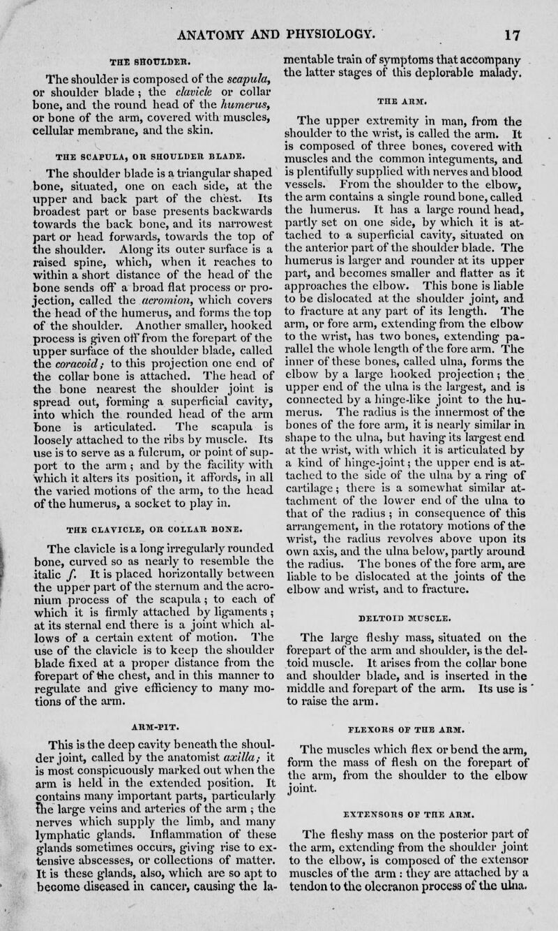 THE SHOULDER. The shoulder is composed of the scapula, or shoulder blade; the clavicle or collar bone, and the round head of the humerus, or bone of the arm, covered with muscles, cellular membrane, and the skin. THE SCAPULA, OR SHOULDER BLADE. The shoulder blade is a triangular shaped bone, situated, one on each side, at the upper and back part of the chest. Its broadest part or base presents backwards towards the back bone, and its narrowest part or head forwards, towards the top of the shoulder. Along1 its outer surface is a raised spine, which, when it reaches to within a short distance of the head of the bone sends off a broad flat process or pro- jection, called the acromion, which covers the head of the humerus, and forms the top of the shoulder. Another smaller, hooked process is given off from the forepart of the upper surface of the shoulder blade, called the coracoid; to this projection one end of the collar bone is attached. The head of the bone nearest the shoulder joint is spread out, forming a superficial cavity, into which the rounded head of the arm bone is articulated. The scapula is loosely attached to the ribs by muscle. Its use is to serve as a fulcrum, or point of sup- port to the arm ; and by the facility with which it alters its position, it affords, in all the varied motions of the arm, to the head of the humerus, a socket to play in. THE CLAVICLE, OR COLLAR B03VE. The clavicle is a long irregularly rounded bone, curved so as nearly to resemble the italic f. It is placed horizontally between the upper part of the sternum and the acro- nium process of the scapula; to each of which it is firmly attached by ligaments; at its sternal end there is a joint which al- lows of a certain extent of motion. The use of the clavicle is to keep the shoulder blade fixed at a proper distance from the forepart of the chest, and in this manner to regulate and give efficiency to many mo- tions of the arm. mentable train of symptoms that accompany the latter stages of this deplorable malady. The upper extremity in man, from the shoulder to the wrist, is called the arm. It is composed of three bones, covered with muscles and the common integuments, and is plentifully supplied with nerves and blood vessels. From the shoulder to the elbow, the arm contains a single round bone, called the humerus. It has a large round head, partly set on one side, by which it is at- tached to a superficial cavity, situated on the anterior part of the shoulder blade. The humerus is larger and rounder at its upper part, and becomes smaller and flatter as it approaches the elbow. This bone is liable to be dislocated at the shoulder joint, and to fracture at any part of its length. The arm, or fore arm, extending from the elbow to the wrist, has two bones, extending pa- rallel the whole length of the fore arm. The inner of these bones, called ulna, forms the elbow by a large hooked projection; the upper end of the ulna is the largest, and is connected by a hinge-like joint to the hu- merus. The radius is the innermost of the bones of the fore arm, it is nearly similar in shape to the ulna, but having its largest end at the wrist, with which it is articulated by a kind of hinge-joint; the upper end is at- tached to the side of the ulna by a ring of cartilage; there is a somewhat similar at- tachment of the lower end of the ulna to that of the radius ; in consequence of this arrangement, in the rotatory motions of the wrist, the radius revolves above upon its own axis, and the ulna below, partly around the radius. The bones of the fore arm, are liable to be dislocated at the joints of the elbow and wrist, and to fracture. DELTOID MUSCLE. The large fleshy mass, situated on the forepart of the arm and shoulder, is the del- toid muscle. It arises from the collar bone and shoulder blade, and is inserted in the middle and forepart of the arm. Its use is to raise the arm. This is the deep cavity beneath the shoul- der joint, called by the anatomist axilla,- it is most conspicuously marked out when the arm is held in the extended position. It contains many important parts, particularly the large veins and arteries of the arm ; the nerves which supply the limb, and many lymphatic glands. Inflammation of these glands sometimes occurs, giving rise to ex- tensive abscesses, or collections of matter. It is these glands, also, which arc so apt to become diseased in cancer, causing the la- FLEXORS OF THE ARM. The muscles which flex or bend the arm, form the mass of flesh on the forepart of the arm, from the shoulder to the elbow joint. EXTENSORS OF TnE ARM. The fleshy mass on the posterior part of the arm, extending from the shoulder joint to the elbow, is composed of the extensor muscles of the arm : they are attached by a tendon to the olecranon process of the ulna.