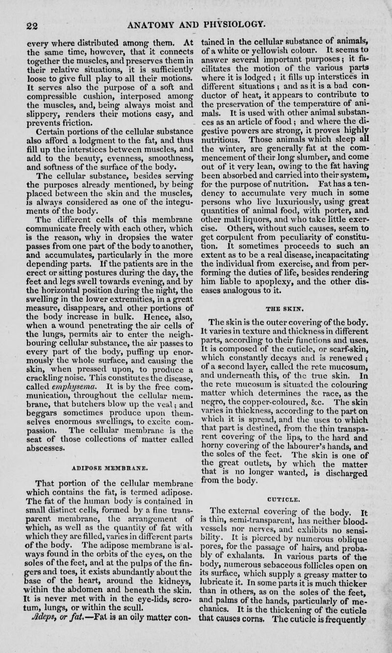 every where distributed among them. At the same time, however, that it connects together the muscles, and preserves them in their relative situations, it is sufficiently loose to give full play to all their motions. It serves also the purpose of a soft and compressible cushion, interposed among the muscles, and, being always moist and slippery, renders their motions easy, and prevents friction. Certain portions of the cellular substance also afford a lodgment to the fat, and thus fill up the interstices between muscles, and add to the beauty, evenness, smoothness, and softness of the surface of the body. The cellular substance, besides serving the purposes already mentioned, by being placed between the skin and the muscles, is always considered as one of the integu- ments of the body. The different cells of this membrane communicate freely with each other, which is the reason, why in dropsies the water passes from one part of the body to another, and accumulates, particularly in the more depending parts. If the patients are in the erect or sitting postures during the day, the feet and legs swell towards evening, and by the horizontal position during the night, the swelling in the lower extremities, in a great measure, disappears, and other portions of the body increase in bulk. Hence, also, when a wound penetrating the air cells of the lungs, permits air to enter the neigh- bouring cellular substance, the air passes to every part of the body, puffing up enor- mously the whole surface, and causing the skin, when pressed upon, to produce a crackling noise. This constitutes the disease, called emphysema. It is by the free com- munication, throughout the cellular mem- brane, that butchers blow up the veal; and beggars sometimes produce upon them- selves enormous swellings, to excite com- passion. The cellular membrane, is the seat of those collections of matter called abscesses. ADIPOSE MEMBIIANE. That portion of the cellular membrane which contains the fat, is termed adipose. The fat of the human body is contained in small distinct cells, formed by a fine trans- parent membrane, the arrangement of which, as well as the quantity of fat with which they are filled, varies in different parts of the body. The adipose membrane is al- ways found in the orbits of the eyes, on the soles of the feet, and at the pulps of the fin- gers and toes, it exists abundantly about the base of the heart, around the kidneys, within the abdomen and beneath the skin. It is never met with in the eye-lids, scro- tum, lungs, or within the scull. Meps, or fat,—Fat is an oily matter con- tained in the cellular substance of animals, of a white or yellowish colour. It seems to answer several important purposes; it fa- cilitates the motion of the various parts where it is lodged ; it fills up interstices in different situations ; and as it is a bad con- ductor of heat, it appears to contribute to the preservation of the temperature of ani- mals. It is used with other animal substan- ces as an article of food; and where the di- gestive powers are strong, it proves highly nutritious. Those animals which sleep all the winter, are generally fat at the com- mencement of their long slumber, and come out of it very lean, owing to the fat having been absorbed and carried into their system, for the purpose of nutrition. Fat has a ten- dency to accumulate very much in some persons who live luxuriously, using great quantities of animal food, with porter, and other malt liquors, and who take little exer- cise. Others, without such causes, seem to get corpulent from peculiarity of constitu- tion. It sometimes proceeds to such an extent as to be a real disease, incapacitating the individual from exercise, and from per- forming the duties of life, besides rendering him liable to apoplexy, and the other dis- eases analogous to it. The skin is the outer covering of the body. It varies in texture and thickness in different parts, according to their functions and uses. It is composed of the cuticle, or scarf-skin, which constantly decays and is renewed ; of a second layer, called the rete mucosum, and underneath this, of the true skin. In the rete mucosum is situated the colouring matter which determines the race, as the negro, the copper-coloured, &c. The skin varies in thickness, according to the part on which it is spread, and the uses to which that part is destined, from the thin transpa- rent covering of the lips, to the hard and horny covering of the labourer's hands, and the soles of the feet. The skin is one of the great outlets, by which the matter that is no longer wanted, is discharged from the body. The external covering of the body. It is thin, semi-transparent, has neither blood- vessels nor nerves, and exhibits no sensi- bility. It is pierced by numerous oblique pores, for the passage of hairs, and proba- bly of exhalants. In various parts of the body, numerous sebaceous follicles open on its surface, which supply a greasy matter to lubricate it. In some parts it is much thicker than in others, as on the soles of the feet, and palms of the hands, particularly of me- chanics. It is the thickening of the cuticle that causes corns. The cuticle is frequently