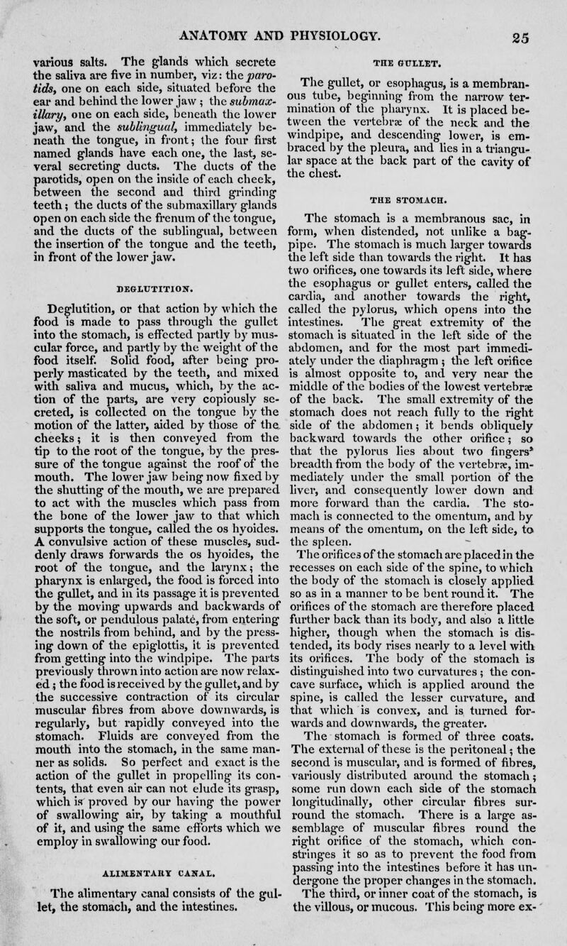 various salts. The glands which secrete the saliva are five in number, viz: the paro- tids, one on each side, situated before the ear and behind the lower jaw ; the submax- illary, one on each side, beneath the lower jaw, and the sublingual, immediately be- neath the tongue, in front; the four first named glands have each one, the last, se- veral secreting ducts. The ducts of the parotids, open on the inside of each cheek, between the second and third grinding teeth; the ducts of the submaxillary glands open on each side the frenum of the tongue, and the ducts of the sublingual, between the insertion of the tongue and the teeth, in front of the lower jaw. DEGLUTITION. Deglutition, or that action by which the food is made to pass through the gullet into the stomach, is effected partly by mus- cular force, and partly by the weight of the food itself. Solid food, after being pro- perly masticated by the teeth, and mixed with saliva and mucus, which, by the ac- tion of the parts, are very copiously se- creted, is collected on the tongue by the motion of the latter, aided by those of the, cheeks; it is then conveyed from the tip to the root of the tongue, by the pres- sure of the tongue against the roof of the mouth. The lower jaw being now fixed by the shutting of the mouth, we are prepared to act with the muscles which pass from the bone of the lower jaw to that which supports the tongue, called the os hyoides. A convulsive action of these muscles, sud- denly draws forwards the os hyoides, the root of the tongue, and the larynx; the pharynx is enlarged, the food is forced into the gullet, and in its passage it is prevented by the moving upwards and backwards of the soft, or pendulous palate, from entering the nostrils from behind, and by the press- ing down of the epiglottis, it is prevented from getting into the windpipe. The parts previously thrown into action are now relax- ed ; the food is received by the gullet, and by the successive contraction of its circular muscular fibres from above downwards, is regularly, but rapidly conveyed into the stomach. Fluids are conveyed from the mouth into the stomach, in the same man- ner as solids. So perfect and exact is the action of the gullet in propelling its con- tents, that even air can not elude its grasp, which is proved by our having the power of swallowing air, by taking a mouthful of it, and using the same efforts which we employ in swallowing our food. ALIMENTAHY CANAL. The alimentary canal consists of the gul- let, the stomach, and the intestines. THE GPLLET. The gullet, or esophagus, is a membran- ous tube, beginning from the narrow ter- mination of the pharynx. It is placed be- tween the vertebra of the neck and the windpipe, and descending lower, is em- braced by the pleura, and lies in a triangu- lar space at the back part of the cavity of the chest. THE STOMACH. The stomach is a membranous sac, in form, when distended, not unlike a bag- pipe. The stomach is much larger towards the left side than towards the right. It has two orifices, one towards its left side, where the esophagus or gullet enters, called the cardia, and another towards the right, called the pylorus, which opens into the intestines. The great extremity of the stomach is situated in the left side of the abdomen, and for the most part immedi- ately under the diaphragm ; the left orifice is almost opposite to, and very near the middle of the bodies of the lowest vertebrae of the back. The small extremity of the stomach does not reach fully to the right side of the abdomen; it bends obliquely backward towards the other orifice; so that the pylorus lies about two fingers* breadth from the body of the vertebrae, im- mediately under the small portion of the liver, and consequently lower down and more forward than the cardia. The sto- mach is connected to the omentum, and by means of the omentum, on the left side, to the spleen. The orifices of the stomach are placed in the recesses on each side of the spine, to which the body of the stomach is closely applied so as in a manner to be bent round it. The orifices of the stomach are therefore placed further back than its body, and also a little higher, though when the stomach is dis- tended, its body rises nearly to a level with its orifices. The body of the stomach is distinguished into two curvatures; the con- cave surface, which is applied around the spine, is called the lesser curvature, and that which is convex, and is turned for- wards and downwards, the greater. The stomach is formed of three coats. The external of these is the peritoneal; the second is muscular, and is formed of fibres, variously distributed around the stomach; some run down each side of the stomach longitudinally, other circular fibres sur- round the stomach. There is a large as- semblage of muscular fibres round the right orifice of the stomach, which con- stringes it so as to prevent the food from passing into the intestines before it has un- dergone the proper changes in the stomach. The third, or inner coat of the stomach, is the villous, or mucous. This being more ex-