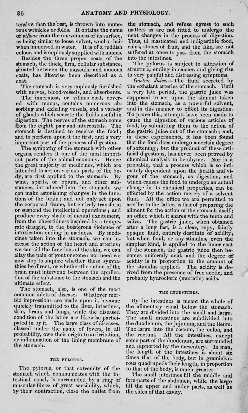 tensive than the rest, is thrown into nume- rous wrinkles or folds. It obtains the name of villous from the unevenness of its surface, as being1 similar to loose velvet, wool or hair when immersed in water. It is of a reddish colour, and is copiously supplied with mucus. Besides the three proper coats of the stomach, the thick, firm, cellular substance, situated between the muscular and mucous coats, has likewise been described as a coat. The stomach is very copiously furnished with nerves, blood-vessels, and absorbents. The innermost, or villous coat, cover- ed with mucus, contains numerous ab- sorbing- and exhaling' vessels, and a variety of glands which secrete the fluids useful in digestion. The nerves of the stomach come from the eighth pair and intercostals. The stomach is destined to receive the food; and to perform upon it the first, and a very important part of the process of digestion. The sympathy of the stomach with other organs, renders it one of the most import- ant parts of the animal economy. Hence the great majority of medicines, which are intended to act on various parts of the bo- dy, are first applied to the stomach. By wine, spirits, or opium, and other sub- stances, introduced into the stomach, we can make astonishing changes in the func- tions of the brain ; and not only act upon the corporeal frame, but entirely transform or suspend the intellectual operations ; and produce every shade of mental excitement, from the cheerfulness inspired by a tempe- rate draught, to the boisterous violence of intoxication ending in madness. By medi- cines taken into the stomach, we can in- crease the action of the heart and arteries; we can aid the functions of the skin, we can allay the pain of gout or stone ; nor need we now stop to inquire whether these sympa- thies be direct, or whether the action of the brain must intervene between the applica- tion of the substance to the stomach and the ultimate effect. The stomach, also, is one of the most common inlets of disease. Whatever mor- bid impressions are made upon it, become quickly transmitted to the liver, intestines, skin, brain, and lungs, while the diseased condition of the latter are likewise partici- pated in by it. The large class of diseases, classed under the name of fevers, in all probability, owe their origin to an irritation, or inflammation of the lining membrane of the stomach. THE 1'YLOIIUS. The pylorus, or that extremity of the stomach which communicates with the in- testinal canal, is surrounded by a ring of muscular fibres of great sensibility, which, by their contraction, close the outlet from the stomach, and refuse egress to such matters as are not fitted to undergo the next changes in the process of digestion. Thus, ill masticated and indigestible food, coins, stones of fruit, and the like, are not suffered at once to pass from the stomach into the intestines. The pylorus is subject to alteration of structure, ending in cancer, and giving rise to very painful and distressing symptoms. Gastric Juice.—The fluid secreted by the exhalant arteries of the stomach. Until a very late period, the gastric juice was supposed to act upon the aliment taken into the stomach, as a powerful solvent, and in this manner to effect its digestion. To prove this, attempts have been made to cause the digestion of various articles of food, by submitting them to the action of the gastric juice out of the stomach; and, in these experiments, it has been found that the food does undergo a certain degree of softening; but the product of these arti- ficial digestions, has never been proved by chemical analysis to be chyme. Nor is it probable, that a process which is so inti- mately dependent upon the health and vi- gour of the stomach, as digestion, and which causes the food to undergo an actual change in its chemical properties, can be effected by the action merely of a solvent fluid. All the office we are permitted to ascribe to the latter, is that of preparing the aliment for the action of the stomach itself; an office which it shares with the teeth and saliva. The gastric juice, when obtained after a long fast, is a clear, ropy, faintly opaque fluid, entirely destitute of acidity; but when food, or any stimulus, even the simplest kind, is applied to the inner coat of the stomach, the gastric juice then be- comes uniformly acid, and the degree of acidity is in proportion to the amount of the stimulus applied. The acidity is de- rived from the presence of free acetic, and probably hydrocloric (muriatic) acids. THE INTESTINES. By the intestines is meant the whole of the alimentary canal below the stomach. They are divided into the small and large. The small intestines are subdivided into the duodenum, the jejunum, and the ileum. The large into the ccecum, the colon, and the rectum. All the intestines, except some part of the duodenum, are surrounded and supported by the mesentery. In man, the length of the intestines is about six times that of the body, but in graminivo- rous quadrupeds their length, in proportion to that of the body, is much greater. The small intestines fill the middle and fore-parts of the abdomen, while the large fill the upper and under parts, as well as the sides of that cavity.