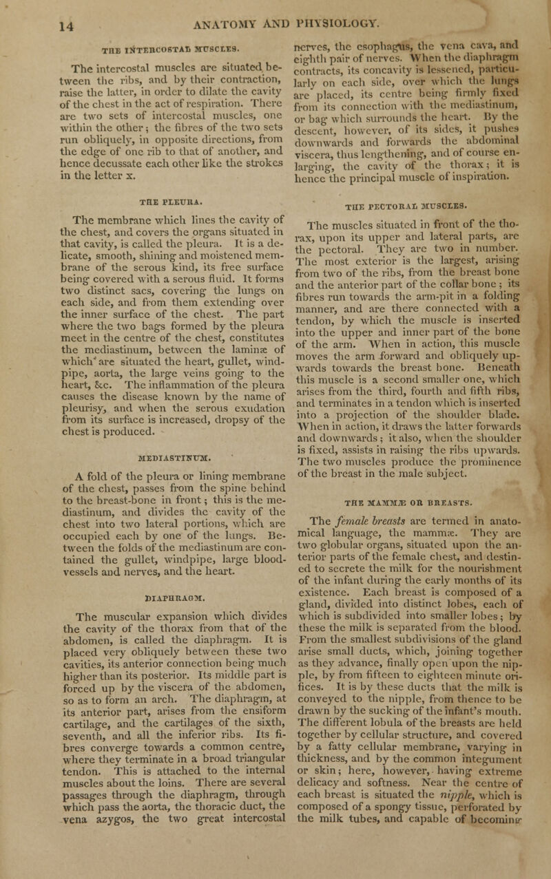 TIIE INTERCOSTAL MT7SCLE9. The intercostal muscles are situated be- tween the ribs, and by their contraction, raise the latter, in order to dilate the cavity of the chest in the act of respiration. There are two sets of intercostal muscles, one within the other; the fibres of the two sets run obliquely, in opposite directions, from the edge of one rib to that of another, and hence decussate each other like the strokes in the letter x. THE PEETJRA. The membrane which lines the cavity of the chest, and covers the organs situated in that cavity, is called the pleura. It is a de- licate, smooth, shining and moistened mem- brane of the serous kind, its free surface being covered with a serous fluid. It forms two distinct sacs, covering the lungs on each side, and from them extending over the inner surface of the chest. The part where the two bags formed by the pleura meet in the centre of the chest, constitutes the mediastinum, between the laminae of which'' are situated the heart, gullet, wind- pipe, aorta, the large veins going to the heart, &c. The inflammation of the pleura causes the disease known by the name of pleurisy, and when the serous exudation from its surface is increased, dropsy of the chest is produced. MEDIASTINUM. A fold of the pleura or lining membrane of the chest, passes from the spine behind to the breast-bone in front; this is the me- diastinum, and divides the cavity of the chest into two lateral portions, which are occupied each by one of the lungs. Be- tween the folds of the mediastinum are con- tained the gullet, windpipe, large blood- vessels and nerves, and the heart. DIAPHRAGM. The muscular expansion which divides the cavity of the thorax from that of the abdomen, is called the diaphragm. It is placed very obliquely between these two cavities, its anterior connection being much higher than its posterior. Its middle part is forced up by the viscera of the abdomen, so as to form an arch. The diaphragm, at its anterior part, arises from the ensiform cartilage, and the cartilages of the sixth, seventh, and all the inferior ribs. Its fi- bres converge towards a common centre, where they terminate in a broad triangular tendon. This is attached to the internal muscles about the loins. There are several passages through the diaphragm, through which pass the aorta, the thoracic duct, the vena azygos, the two great intercostal nerves, the esophagus, the vena cava, and eighth pair of nerves. When the diaphragm contracts, its concavity is lessened, particu- larly on each side, over which the lungs are'placed, its centre being firmly fixed from its connection with the mediastinum, or bag which surrounds the heart. B) the descent, however, of its sides, it pushes downwards and forwards the abdominal viscera, thus lengthening, and of course en- larging, the cavity of the thorax; it is hence the principal muscle of inspiration. TIIE PECTOIlAIi MUSCLES. The muscles situated in front of the tho- rax, upon its upper and lateral parts, are the pectoral. They arc two in number. The most exterior is the largest, arising from two of the ribs, from the breast bone and the anterior part of the collar bone ; its fibres run towards the arm-pit in a folding manner, and are there connected with a tendon, by which the muscle is inserted into the upper and inner part of the bone of the arm. When in action, this muscle moves the arm forward and obliquely up- wards towards the breast bone. Beneath this muscle is a second smaller one, which arises from the third, fourth and fifth ribs, and terminates in a tendon which is inserted into a projection of the shoulder blade. When in action, it draws the latter forwards and downwards; it also, when the shoulder is fixed, assists in raising the ribs upwards. The two muscles produce the prominence of the breast in the male subject. THE MAMMB OH BREASTS. The female breasts are termed in anato- mical language, the mammre. They arc two globular organs, situated upon the an- terior parts of the female chest, and destin- ed to secrete the milk for the nourishment of the infant during the early months of its existence. Each breast is composed of a gland, divided into distinct lobes, each of which is subdivided into smaller lobes; Ijy these the milk is separated from the blood. From the smallest subdivisions of the gland arise small ducts, which, joining together as they advance, finally open upon the nip- ple, by from fifteen to eighteen minute ori- fices. It is by these ducts that the milk is conveyed to the nipple, from thence to be drawn by the sucking of the infant's mouth. The different lobula of the breasts are held together by cellular structure, and covered by a fatty cellular membrane, varying in thickness, and by the common integument or skin; here, however, having extreme delicacy and softness. Near the centre of each breast is situated the nipple, which is composed of a spongy tissue, perforated by the milk tubes, and capable of becoming-