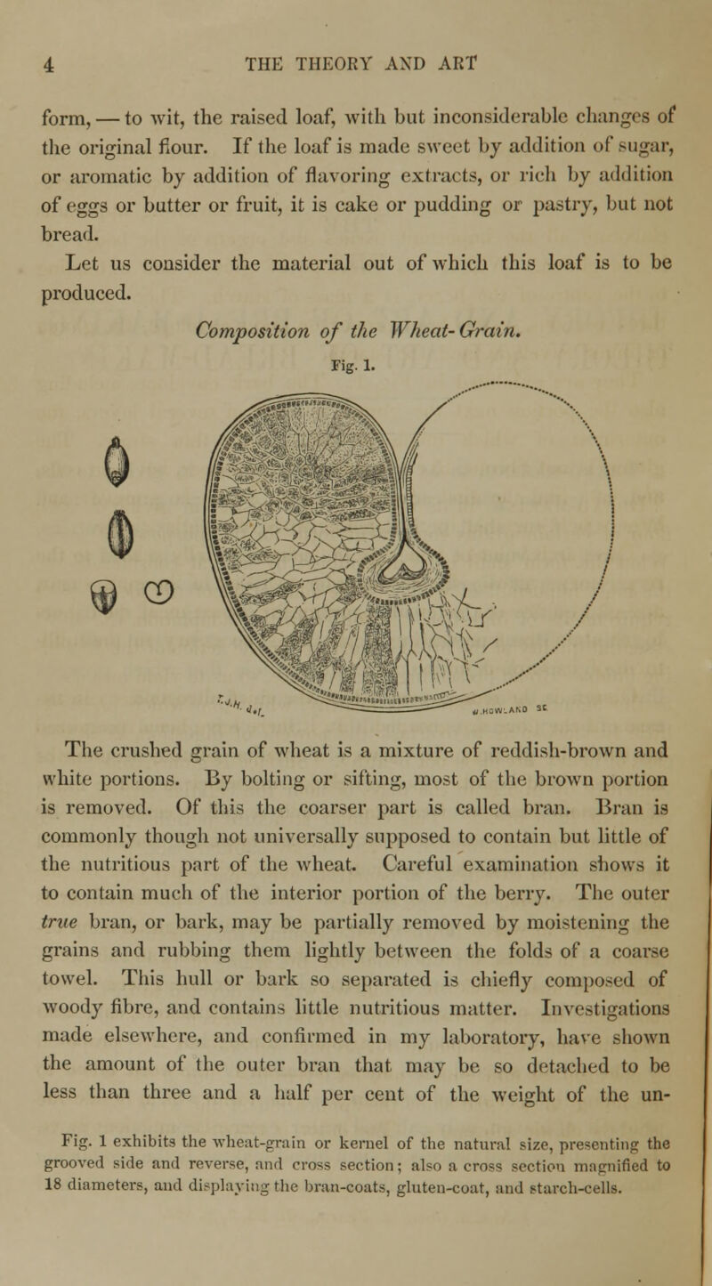 form, — to wit, the raised loaf, with but inconsiderable changes o( the original flour. If the loaf is made sweet by addition of sugar, or aromatic by addition of flavoring extracts, or rich by addition of eggs or butter or fruit, it is cake or pudding or pastry, but not bread. Let us consider the material out of which this loaf is to be produced. Composition of the Wheat- Grain. Fig. 1. C9 The crushed grain of wheat is a mixture of reddish-brown and white portions. By bolting or sifting, most of the brown portion is removed. Of this the coarser part is called bran. Bran is commonly though not universally supposed to contain but little of the nutritious part of the wheat. Careful examination shows it to contain much of the interior portion of the berry. The outer true bran, or bark, may be partially removed by moistening the grains and rubbing them lightly between the folds of a coarse towel. This hull or bark so separated is chiefly composed of woody fibre, and contains little nutritious matter. Investigations made elsewhere, and confirmed in my laboratory, have shown the amount of the outer bran that may be so detached to be less than three and a half per cent of the weight of the un- Fig. 1 exhibits the wheat-grain or kernel of the natural size, presenting the grooved side and reverse, and cross section; also a cross section magnified to 18 diameters, and displaying the bran-coats, gluten-coat, and starch-cells.
