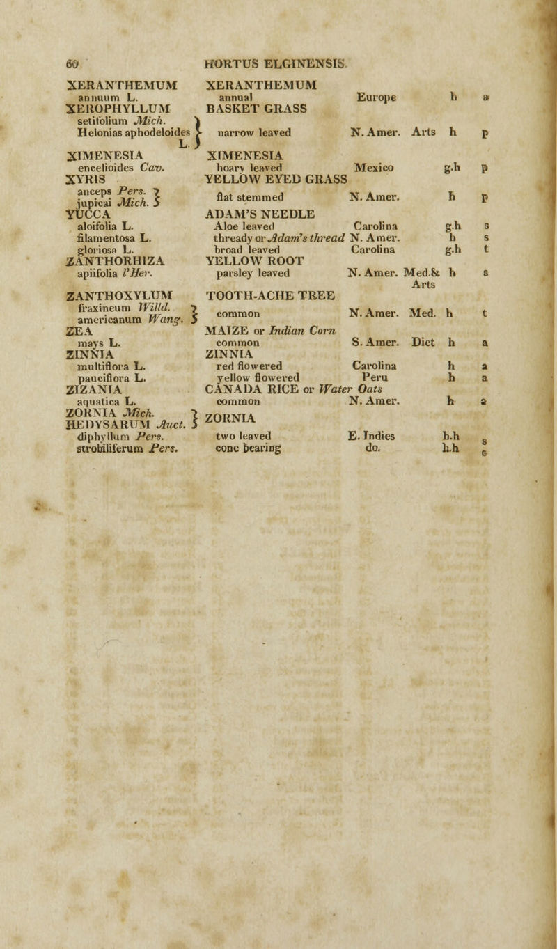 XERANTHEMUM XERANTHEMUM annuum L. annual Europe h XEROPHYLLUM BASKET GRASS setilblium Mich. ) Helonias aphodeloide XIMENESIA narrow leaved N. Amer. Arts h j XIMENESIA encelioides Cav. hoarv leaved Mexico gh XYR1S YELLOW EYED GRASS anceps Pers. ? jupicai Mich. 5 flat stemmed N. Amer. h YUCCA ADAM'S NEEDLE aloifolia L. Aloe leaved Carolina gh filamentosa L. thready or AdanC s thread N. Amer. h gloriosa L. liroad leaved Carolina gh ZANTHORHIZA YELLOW ROOT apiifolia I'Her. parsley leaved N. Amer. Med.fc Arts h ZANTHOXYLUM TOOTH-ACHE TREE fraxineum Willd. americanum Warn*. \ common N. Amer. Med. h ZEA MAIZE or Indian Corn mays L. common S. Amer. Diet h ZINNIA ZINNIA multiflora L. red flowered Carolina h pauciflora L. yellow flowered Peru h ZIZANIA CANADA RICE or Water Oats aquatica L. common N. Amer. h ZORNIA Mich. HEDYSARUM Auct. } ZORNIA diphyllum Pers. two leaved E. Tndies h.h