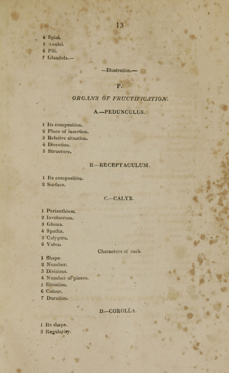 4 SpioL 5 Aculei. 6 Pili. 7 Glandula. —Illustration.^ , . P. OBG.iJVS OF FBUCTIFICjITIOJV. A—PEDUNCULUS. 1 Its composition. 2 Place of insertion. 3 Relative situation. 4 Direction. 5 Structure. B.-RECBPTACULUM. 1 Its composition. 2 Surface. C.-CALYX. 4 1 Perianthium. 2 Involucrum. 3 Ciluma. 4 Spatha. 5'Calyptra. 9 6 Volvai ^ Characters of each. 1 Shape- 2 Number. 3 Divisions. 4 Number of pieces. 5 Situation. 6 Colour. 7 Duration. D.—COROLL\ 1 i Its sluape. 2 Uegulafity. c