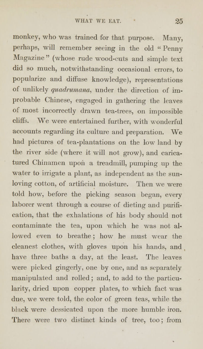 monkey, who was trained for that purpose. Many, perhaps, will remember seeing in the old  Penny Magazine  (whose rude wood-cuts and simple text did so much, notwithstanding occasional errors, to popularize and diffuse knowledge), representations of unlikely quadrumana, under the direction of im- probable Chinese, engaged in gathering the leaves of most incorrectly drawn tea-trees, on impossible cliffs. We were entertained further, with wonderful accounts regarding its culture and preparation. We had pictures of tea-plantations on the low land by the river side (where it will not grow), and carica- tured Chinamen upon a treadmill, pumping up the water to irrigate a plant, as independent as the sun- loving cotton, of artificial moisture. Then we were told how, before the picking season began, every laborer went through a course of dieting and purifi- cation, that the exhalations of his body should not contaminate the tea, upon which he was not al- lowed even to breathe; how he must wear the cleanest clothes, with gloves upon his hands, and have three baths a day, at the least. The leaves were picked gingerly, one by one, and as separately manipulated and rolled; and, to add to the particu- larity, dried upon copper plates, to which fact was due, we were told, the color of green teas, while the black were dessicated upon the more humble iron. There were two distinct kinds of tree, too; from