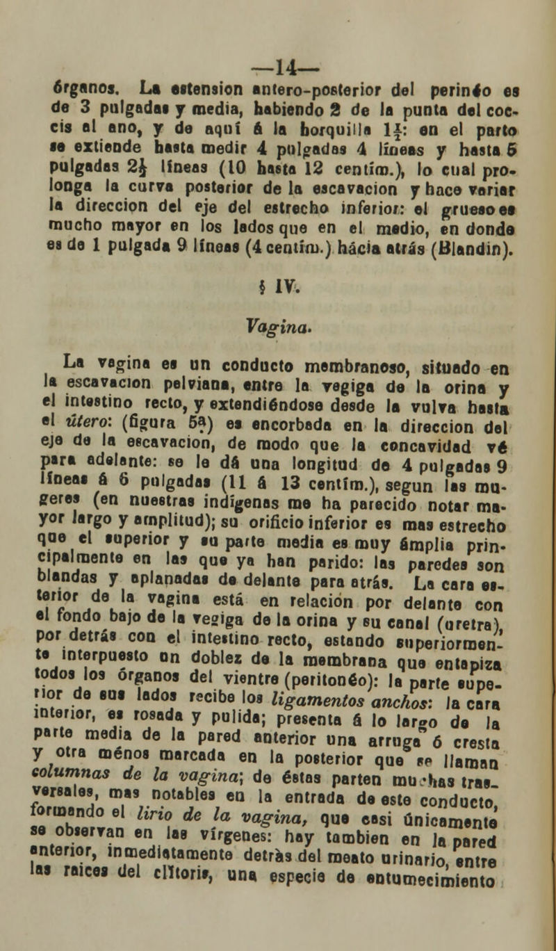 —14— órganos. La estension antero-posterior del perineo es de 3 pulgadas y media, habiendo 2 de la punta del coc- éis al ano, y de aquí 6 la horquilla 1¿: en el parto se extiende basta medir 4 pulgadas 4 líneas y hasta 5 pulgadas 2$ líneas (10 hasta 12 centím.), lo cual pro- longa la curva posterior de la escavacion y hace variar la dirección del eje del estrecho inferior: el grueso ee mucho mayor en los lados que en el medio, en donde es do 1 pulgada 9 líneas (4 centím.) hacia atrás (Blandin). $ IV. Vagina. La vagina es un conducto membranoso, situado en la escavacion pelviana, entre la vegiga de la orina y el intestino recto, y extendiéndose desde la vulva hasta el útero: (figura 5») es encorbada en la dirección del eje de la escavacion, de modo que la concavidad vé para adelante: se le dá una longitud de 4 pulgadas 9 líneas ¿ 6 pulgadas (11 á 13 centím.), según las mu- geres (en nuestras indígenas me ha parecido notar ma- yor largo y amplitud); su orificio inferior es mas estrecho qoe el superior y su parte media es muy amplia prin- cipalmente en las que ya han parido: las paredes son blandas y aplanadas de delante para atrás. La cara es. tenor de la vagina está en relación por delante con el fondo bajo de la vegiga de la orina y su canal (uretra) por detrás con el intestino recto, estando superiormen- te interpuesto un doblez de la membrana que entapiza todos los órganos del vientre (peritoneo): la parte supe- rior de sos lados recibe los ligamentos anchos: la cara interior, es rosada y pulida; presenta á lo largo de la parte media de la pared anterior una arruga 6 cresta y otra menos marcada en la posterior que se llaman columnas de la vagina] de éstas parten mu -has tras versales, mas notables en la entrada de este conducto íormando el Uño de la vagina, que easi únicamente se observan en las vírgenes: hay también en la pared anterior, inmediatamente detrás del meato urinario entre las raices del clltoris, una especie de entumecimiento