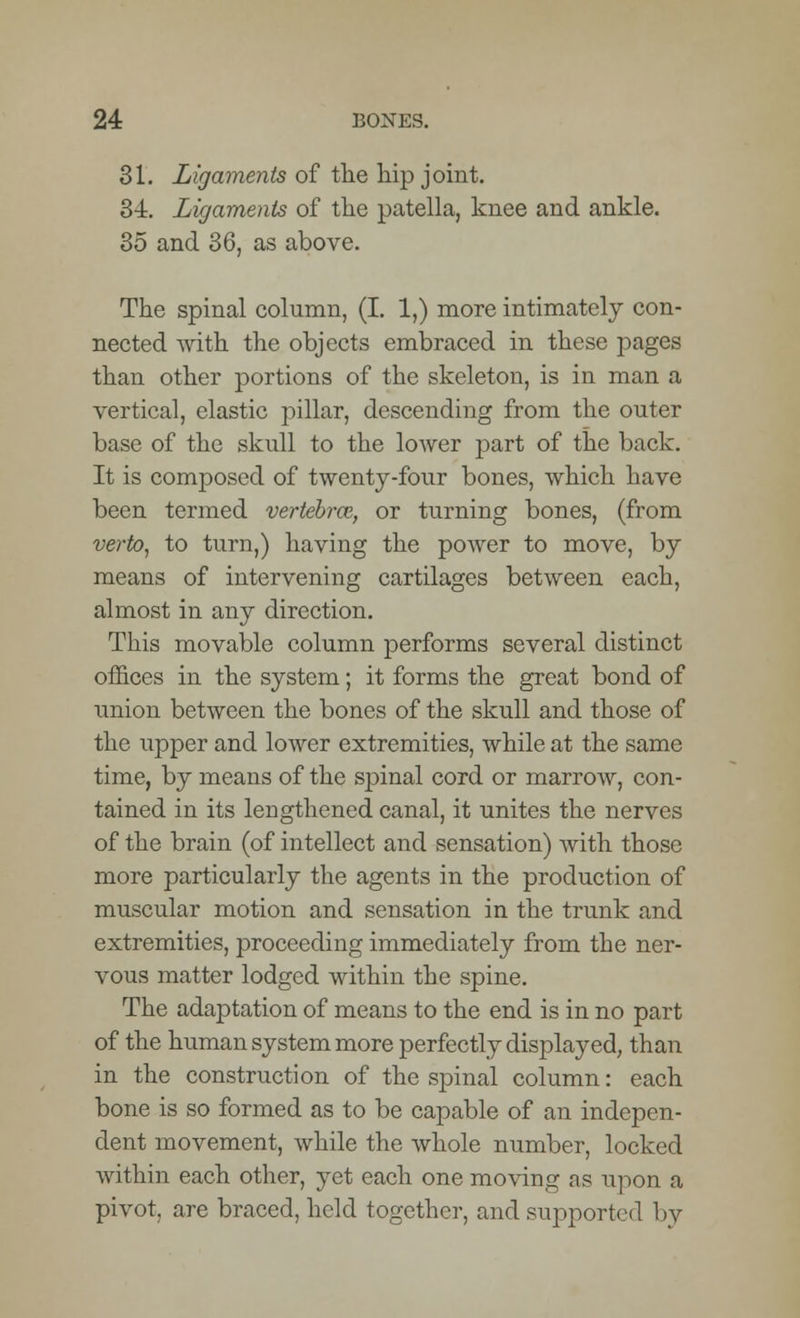 31. Ligaments of the hip joint. 34. Ligaments of the patella, knee and ankle. 35 and 36, as above. The spinal column, (I. 1,) more intimately con- nected with the objects embraced in these pages than other portions of the skeleton, is in man a vertical, elastic pillar, descending from the outer base of the skull to the lower part of the back. It is composed of twenty-four bones, which have been termed vertebral, or turning bones, (from verto, to turn,) having the power to move, by means of intervening cartilages between each, almost in any direction. This movable column performs several distinct offices in the system; it forms the great bond of union between the bones of the skull and those of the upper and lower extremities, while at the same time, by means of the spinal cord or marrow, con- tained in its lengthened canal, it unites the nerves of the brain (of intellect and sensation) with those more particularly the agents in the production of muscular motion and sensation in the trunk and extremities, proceeding immediately from the ner- vous matter lodged within the spine. The adaptation of means to the end is in no part of the human system more perfectly displayed, than in the construction of the spinal column: each bone is so formed as to be capable of an indepen- dent movement, while the whole number, locked within each other, yet each one moving as upon a pivot, are braced, held together, and supported by