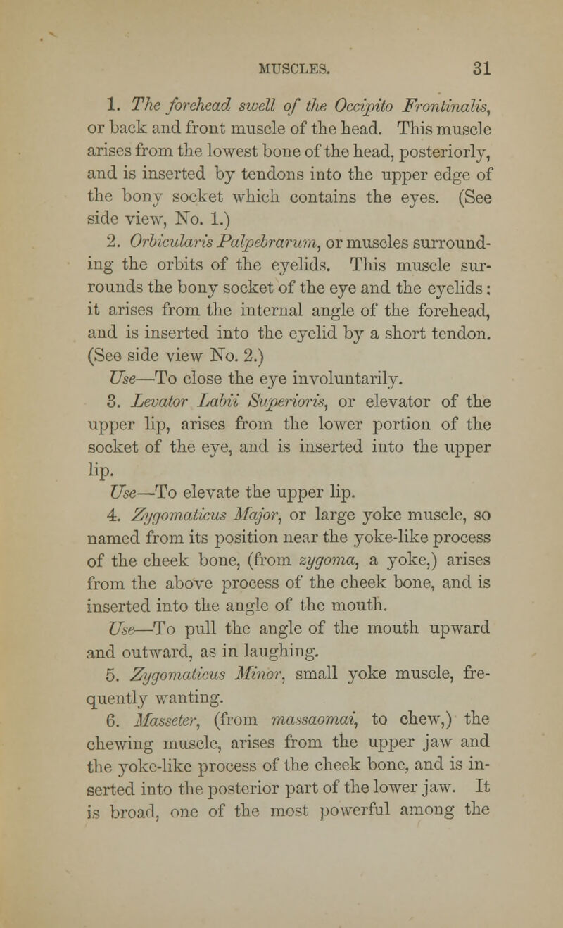 1. The forehead swell of the Occipito Frontinalis, or back and front muscle of the head. This muscle arises from the lowest bone of the head, posteriorly, and is inserted by tendons into the upper edge of the bony socket which contains the eyes. (See side view, No. 1.) 2. Orbicularis Palpebrarum, or muscles surround- ing the orbits of the eyelids. This muscle sur- rounds the bony socket of the eye and the eyelids : it arises from the internal angle of the forehead, and is inserted into the eyelid by a short tendon. (See side view No. 2.) Use—To close the eye involuntarily. 3. Levator Labii Superioris, or elevator of the upper lip, arises from the lower portion of the socket of the eye, and is inserted into the upper lip. Use—To elevate the upper lip. 4. Zygomaticus Major, or large yoke muscle, so named from its position near the yoke-like process of the cheek bone, (from zygoma, a yoke,) arises from the above process of the cheek bone, and is inserted into the angle of the mouth. Use—To pull the angle of the mouth upward and outward, as in laughing. 5. Zygomaticus Minor, small yoke muscle, fre- quently wanting. 6. Masseter, (from massaomai, to chew,) the chewing muscle, arises from the upper jaw and the yoke-like process of the cheek bone, and is in- serted into the posterior part of the lower jaw. It is broad, one of the most powerful among the