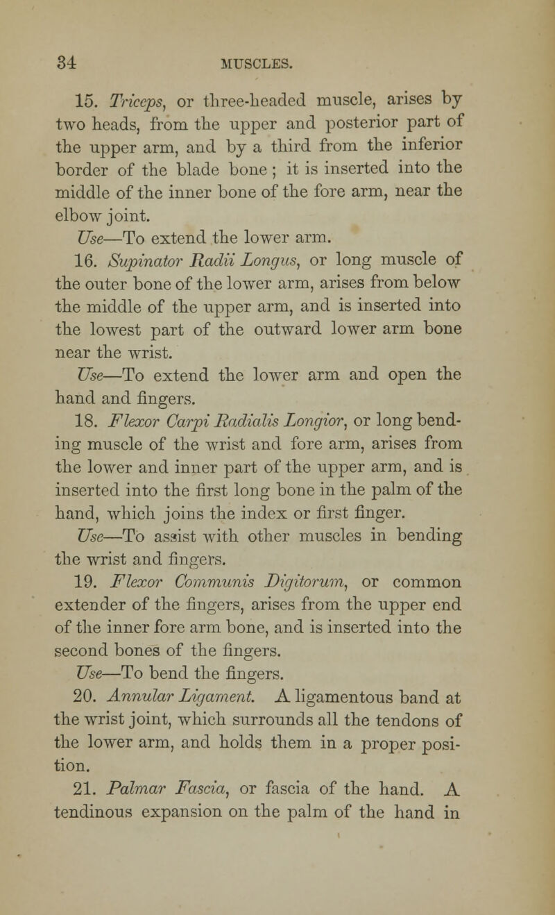 15. Triceps, or three-Leaded muscle, arises by two heads, from the upper and posterior part of the upper arm, aud by a third from the inferior border of the blade bone ; it is inserted into the middle of the inner bone of the fore arm, near the elbow joint. Use—To extend the lower arm. 16. Supinator Radii Longus, or long muscle of the outer bone of the lower arm, arises from below the middle of the upper arm, and is inserted into the lowest part of the outward lower arm bone near the wrist. Use—To extend the lower arm and open the hand and fingers. 18. Flexor Carpi Radialis Longior, or long bend- ing muscle of the wrist and fore arm, arises from the lower and inner part of the upper arm, and is inserted into the first long bone in the palm of the hand, which joins the index or first finger. Use—To assist with other muscles in bending the wrist and fingers. 19. Flexor Communis Digitorum, or common extender of the fingers, arises from the upper end of the inner fore arm bone, and is inserted into the second bones of the fingers. Use—To bend the fingers. 20. Annular Ligament. A ligamentous band at the wrist joint, which surrounds all the tendons of the lower arm, and holds them in a proper posi- tion. 21. Palmar Fascia, or fascia of the hand. A tendinous expansion on the palm of the hand in