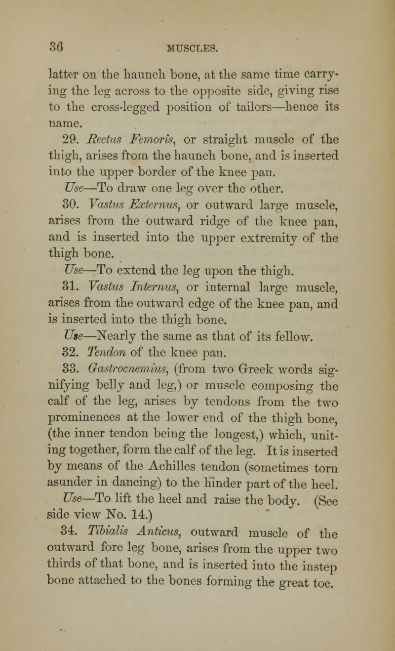 latter on the haunch bone, at the same time carry- ing the leg across to the opposite side, giving rise to the cross-legged position of tailors—hence its name. 29. Rectus Fernoris, or straight muscle of the thigh, arises from the haunch bone, and is inserted into the upper border of the knee pan. Use—To draw one leg over the other. 30. Vastus Externus, or outward large muscle, arises from the outward ridge of the knee pan, and is inserted into the upper extremity of the thigh bone. Use—To extend the leg upon the thigh. 31. Vastus Internus, or internal large muscle, arises from the outward edge of the knee pan, and is inserted into the thigh bone. Use—Nearly the same as that of its fellow. 32. Tendon of the knee pan. 33. Gastrocnemius, (from two Greek words sig- nifying belly and leg,) or muscle composing the calf of the leg, arises by tendons from the two prominences at the lower end of the thigh bone (the inner tendon being the longest,) which, unit- ing together, form the calf of the leg. It is inserted by means of the Achilles tendon (sometimes torn asunder in dancing) to the hinder part of the heel. Use—To lift the heel and raise the body. (See side view No. 14.) 34. Tibialis Aniicus, outward muscle of the outward fore leg bone, arises from the upper two thirds of that bone, and is inserted into the instep bone attached to the bones forming the great toe.