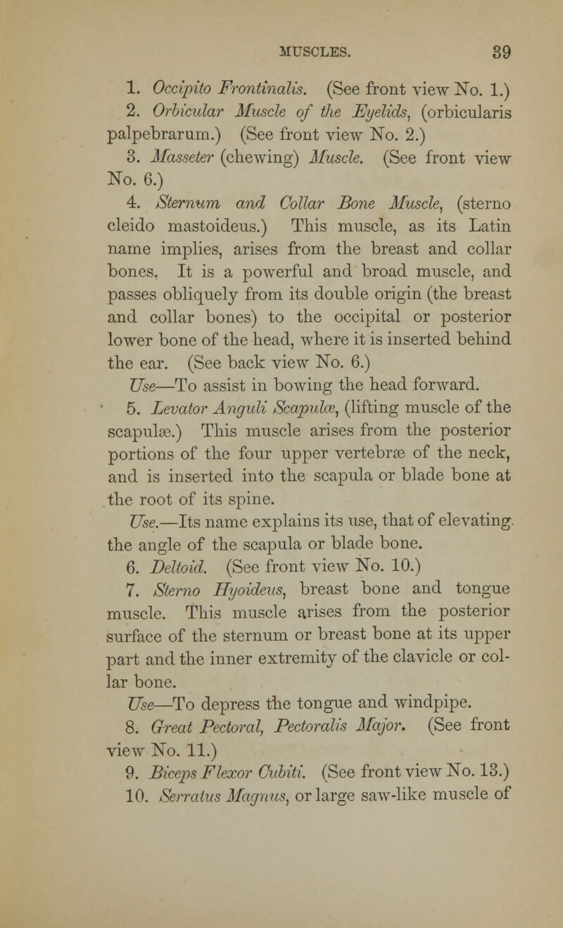 1. Occipito Frontinalis. (See front view No. 1.) 2. Orbicular Muscle of the Eyelids, (orbicularis palpebrarum.) (See front view No. 2.) 3. Masseter (chewing) Muscle. (See front view No. 6.) 4. Sternum and Collar Bone Muscle, (sterno cleido mastoideus.) This muscle, as its Latin name implies, arises from the breast and collar bones. It is a powerful and broad muscle, and passes obliquely from its double origin (the breast and collar bones) to the occipital or posterior lower bone of the head, where it is inserted behind the ear. (See back view No. 6.) Use—To assist in bowing the head forward. 5. Levator Anguli Scapida?, (lifting muscle of the scapulas.) This muscle arises from the posterior portions of the four upper vertebras of the neck, and is inserted into the scapula or blade bone at the root of its spine. Use.—Its name explains its use, that of elevating, the angle of the scapula or blade bone. 6. Deltoid. (See front view No. 10.) 7. Sterno Hyoideus, breast bone and tongue muscle. This muscle arises from the posterior surface of the sternum or breast bone at its upper part and the inner extremity of the clavicle or col- lar bone. Use—To depress the tongue and windpipe. 8. Great Pectoral, Pectoralis Major. (See front view No. 11.) 9. Biceps Flexor Cubiti. (See front view No. 13.) 10. Serralus Magnus, or large saw-like muscle of