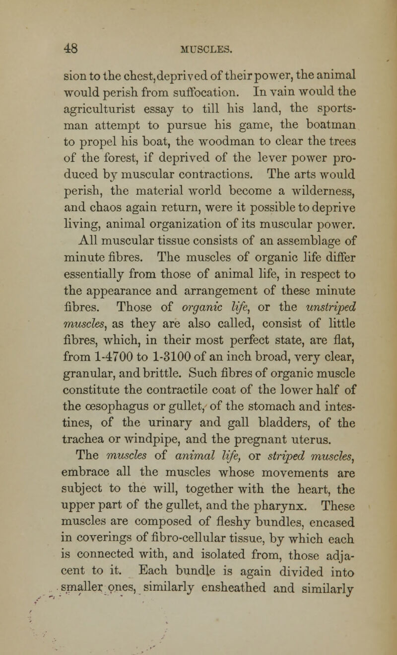 sion to the chest,deprived of their power, the animal would perish from suffocation. In vain would the agriculturist essay to till his land, the sports- man attempt to pursue his game, the boatman to propel his boat, the woodman to clear the trees of the forest, if deprived of the lever power pro- duced by muscular contractions. The arts would perish, the material world become a wilderness, and chaos again return, were it possible to deprive living, animal organization of its muscular power. All muscular tissue consists of an assemblage of minute fibres. The muscles of organic life differ essentially from those of animal life, in respect to the appearance and arrangement of these minute fibres. Those of organic life, or the unstriped muscles, as they are also called, consist of little fibres, which, in their most perfect state, are flat, from 1-4700 to 1-3100 of an inch broad, very clear, granular, and brittle. Such fibres of organic muscle constitute the contractile coat of the lower half of the oesophagus or gullet, of the stomach and intes- tines, of the urinary and gall bladders, of the trachea or windpipe, and the pregnant uterus. The muscles of animal life, or striped muscles, embrace all the muscles whose movements are subject to the will, together with the heart, the upper part of the gullet, and the pharynx. These muscles are composed of fleshy bundles, encased in coverings of fibro-cellular tissue, by which each is connected with, and isolated from, those adja- cent to it. Each bundle is again divided into smaller ones, similarly ensheathed and similarly