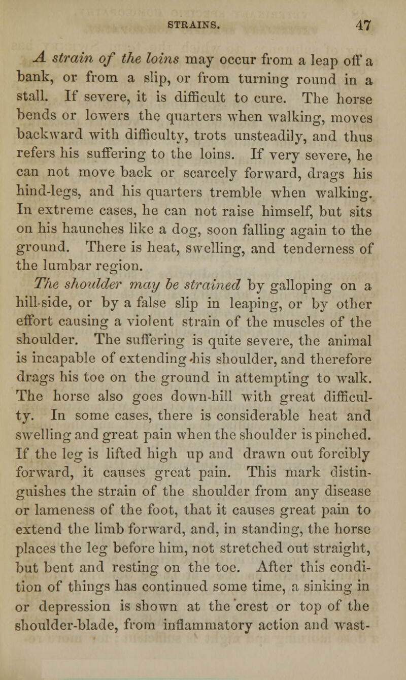 A strain of the loins may occur from a leap off a bank, or from a slip, or from turning round in a stall. If severe, it is difficult to cure. The horse bends or lowers the quarters when walking, moves backward with difficulty, trots unsteadily, and thus refers his suffering to the loins. If very severe, he can not move back or scarcely forward, drags his hind-legs, and his quarters tremble when walking. In extreme cases, he can not raise himself, but sits on his haunches like a dog, soon falling again to the ground. There is heat, swelling, and tenderness of the lumbar region. The shoulder may be strained by galloping on a hill-side, or by a false slip in leaping, or by other effort causing a violent strain of the muscles of the shoulder. The suffering is quite severe, the animal is incapable of extending .his shoulder, and therefore drags his toe on the ground in attempting to walk. The horse also goes down-hill with great difficul- ty. In some cases, there is considerable heat and swelling and great pain when the shoulder is pinched. If the leg is lifted high up and drawn out forcibly forward, it causes great pain. This mark distin- guishes the strain of the shoulder from any disease or lameness of the foot, that it causes great pain to extend the limb forward, and, in standing, the horse places the leg before him, not stretched out straight, but bent and resting on the toe. After this condi- tion of things has continued some time, a sinking in or depression is shown at the crest or top of the shoulder-blade, from inflammatory action and wast-