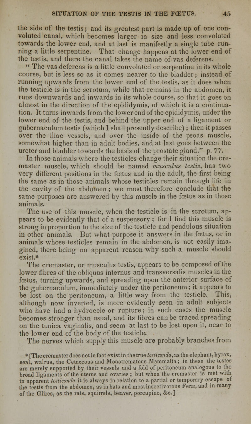 the side of the testis; and its greatest part is made up of one con- voluted canal, which becomes larger in size and less convoluted towards the lower end, and at last is manifestly a single tube run- ning a little serpentine. That change happens at the lower end of the testis, and there the canal takes the name of vas deferens.  The vas deferens is a little convoluted or serpentine in its whole course, but is less so as it comes nearer to the bladder; instead of running upwards from the lower end of the testis, as it does when the testicle is in the scrotum, while that remains in the abdomen, it runs downwards and inwards in its whole course, so that it goes on almost in the direction of the epididymis, of which it is a continua- tion. It turns inwards from the lower end of the epididymis, under the lower end of the testis, and behind the upper end of a ligament or gubernaculum testis (which I shall presently describe); then it passes over the iliac vessels, and over the inside of the psoas muscle, somewhat higher than in adult bodies, and at last goes between the ureter and bladder towards the basis of the prostate gland. p. 77. In those animals where the testicles change their situation the ere- master muscle, which should be named musculus testis, has two very different positions in the fostus and in the adult, the first being the same as in those animals whose testicles remain through life in the cavity of the abdomen ; we must therefore conclude that the same purposes are answered by this muscle in the foetus as in those animals. The use of this muscle, when the testicle is in the scrotum, ap- pears to be evidently that of a suspensory; for I find this muscle is strong in proportion to the size of the testicle and pendulous situation in other animals. But what purpose it answers in the foetus, or in animals whose testicles remain in the abdomen, is not easily ima- gined, there being no apparent reason why such a muscle should exist.* The cremaster, or musculus testis, appears to be composed of the lower fibres of the obliquus internus and transversalis muscles in the fcetus, turning upwards, and spreading upon the anterior surface of the gubernaculum, immediately under the peritoneum; it appears to be lost on the peritoneum, a little way from the testicle. This, although now inverted, is more evidently seen in adult subjects who have had a hydrocele or rupture; in such cases the muscle becomes stronger than usual, and its fibres can be traced spreading on the tunica vaginalis, and seem at last to be lost upon it, near to the lower end of the body of the testicle. The nerves which supply this muscle are probably branches from ♦[The cremaster does not in fact exist in the true testiconda, as the elephant, hyrax, seal, walrus, the Cetaceous and Monotrematous Mammalia; in these the testes are merely supported by their vessels and a fold of peritoneum analogous to the broad ligaments of the uterus and ovaries ; but when the cremaster is met with in apparent testiconda it is always in relation to a partial or temporary escape of the testis from the abdomen, as in bats and most insectivorous Ferae, and in many of the Glires, as the rats, squirrels, beaver, porcupine, &c]