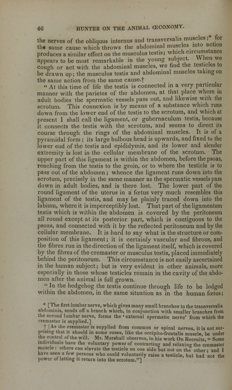 the nerves of the obliquus inlernus and transversals muscles;* for tht same cause which throws the abdominal muse les into action produces a similar effect on the musculus testis; which circumstance appears to be most remarkable in the young subject. When we cough or act with the abdominal muscles, we find the testicles to be drawn up; the musculus testis and abdominal muscles taking on the same action from the same cause.f  At this time of life the testis is connected in a very particular manner with the parietes of the abdomen, at that place where in adult bodies the spermatic vessels pass out, and likewise with the scrotum. This connexion is by means of a substance which runs down from the lower end of the testis to the scrotum, and which at present I shall call the ligament, or gubernaculum testis, because it connects the testis with the scrotum, and seems to direct its course through the rings of the abdominal muscles. It is of a pyramidal form ; its large bulbous head is upwards, and fixed to the lower end of the testis and epididymis, and its lower and slender extremity is lost in the cellular membrane of the scrotum. The upper part of this ligament is within the abdomen, before the psoas, reaching from the testis to the groin, or to where the testicle is to pass out of the abdomen ; whence the ligament runs down into the scrotum, precisely in the same manner as the spermatic vessels pass down in adult bodies, and is there lost. The lower part of the round ligament of the uterus in a foetus very much resembles this ligament of the testis, and may be plainly traced down into the labium, where it is imperceptibly lost. That part of the ligamentum testis which is within the abdomen is covered by the peritoneum all round except at its posterior part, which is contiguous to the psoas, and connected with it by the reflected peritoneum and by the cellular membrane. It is hard to say what is the structure or com- position of this ligament; it is certainly vascular and fibrous, and the fibres run in the direction of the ligament itself, which is covered by the fibres of the cremaster or musculus testis, placed immediately behind the peritoneum. This circumstance is not easily ascertained in the human subject; but is very evident in other animals, more especially in those whose testicles remain in the cavity of the abdo- men after the animal is full grown.  In the hedgehog the testis continue through life to be lodged within the abdomen, in the same situation as in the human foetus; * [The first lumbar nerve, which gives many small branches to the transversalis abdominis, sends off a branch which, in conjunction with smaller branches from the second lumbar nerve, forms the « external spermatic nerve' from which the cremaster is supplied.] f [As the cremaster is supplied from common or spinal nerves, it is not sur- prising that it should in some cases, like the occipito-frontalis muscle, be under the control of the will. Mr. Marshall observes, in his work On Recruits, « Some individuals have the voluntary power of contracting and relaxing the cremaster muscle : others can elevate the testicle on one side but not on the other; and 1 have seen a few persons who could voluntarily raise a testicle, but had not the power ot letting it return into the scrotum.]