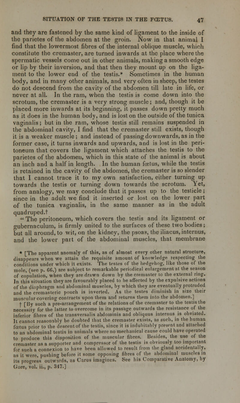 and they are fastened by the same kind of ligament to the inside of the parietes of the abdomen at the groin. Now in that animal I find that the lowermost fibres of the internal oblique muscle, which constitute the cremaster, are turned inwards at the place where the spermatic vessels come out in other animals, making a smooth edge or lip by their inversion, and that then they mount up on the liga- ment to the lower end of the testis.* Sometimes in the human body, and in many other animals, and very often in sheep, the testes do not descend from the cavity of the abdomen till late in life, or never at all. In the ram, when the testis is come down into the scrotum, the cremaster is a very strong muscle; and, though it be placed more inwards at its beginning, it passes down pretty much as it does in the human body, and is lost on the outside of the tunica vaginalis; but in the ram, whose testis still remains suspended in the abdominal cavity, I find that the cremaster still exists, though it is a weaker muscle; and instead of passing downwards, as in the former case, it turns inwards and upwards, and is lost in the peri- toneum that covers the ligament which attaches the testis to the parietes of the abdomen, which in this state of the animal is about an inch and a half in length. In the human foetus, while the testis is retained in the cavity of the abdomen, the cremaster is so slender that I cannot trace it to my own satisfaction, either turning up towards the testis or turning down towards the scrotum. Yet, from analogy, we may conclude that it passes up to the testicle; since in the adult we find it inserted or lost on the lower part of the tunica vaginalis, in the same manner as in the adult quadruped.!  The peritoneum, which covers the testis and its ligament or gubernaculum, is firmly united to the surfaces of these two bodies; but all around, to wit, on the kidney, the psoas, the iliacus, internus, and the lower part of the abdominal muscles, that membrane * [The apparent anomaly of this, as of almost every other natural structure, disappears when we attain the requisite amount of knowledge respecting the conditions under which it exists. The testes of the hedgehog, like those of the mole, (see p. 66,) are subject to remarkable periodical enlargement at the season of copulation, when they are drawn down by the cremaster to the external ring. In this situation they are favourably placed to he affected by the expulsive actions of the diaphragm and abdominal muscles, by which they are eventually protruded and the cremasteric pouch is inverted. As the testes diminish in size their muscular covering contracts upon them and returns them into the abdomen.] f [By such a p^re-arrangement of the relations of the cremaster to the testis the necessity for the latter to overcome in its passage outwards the resistance of the inferior fibres of the transversalis abdominis and obliquus internus is obviated. It cannot reasonably be doubted that the cremaster exists, as such, in the human foetus prior to the descent of the testis, since it is indubitably present and attached to an abdominal testis in animals where no mechanical cause could have operated to produce this disposition of the muscular fibres. Besides, the use of the cremaster as a supporter and compressor of the testis is obviously too important for such a connexion to have been allowed to result from the gland accidentally, a« it were, pushing before it some opposing fibres of the abdominal muscles in its progress outwards, as Carus imagines. See his Comparative Anatomy, by (..ore, vol. ii., p. 317.]