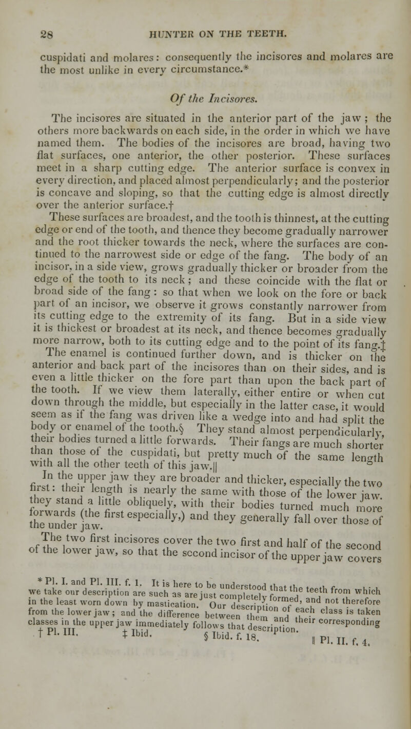 cuspidati and molares: consequently the incisores and molares are the most unlike in every circumstance.* Of the Incisores. The incisores are situated in the anterior part of the jaw ; the others more backwards on each side, in the order in which we have named them. The bodies of the incisores are broad, having two flat surfaces, one anterior, the other posterior. These surfaces meet in a sharp cutting edge. The anterior surface is convex in every direction, and placed almost perpendicularly; and the posterior is concave and sloping, so that the cutting edge is almost directly over the anterior surface.f These surfaces are broadest, and the tooth is thinnest, at the cutting edge or end of the tooth, and thence they become gradually narrower and the root thicker towards the neck, where the surfaces are con- tinued to the narrowest side or edge of the fang. The body of an incisor, in a side view, grows gradually thicker or broader from the edge of the tooth to its neck; and these coincide with the flat or broad side of the fang : so that when we look on the fore or back part of an incisor, we observe it grows constantly narrower from its cutting edge to the extremity of its fang. But in a side view it is thickest or broadest at its neck, and thence becomes gradually more narrow, both to its cutting edge and to the point of Tts fan^.t The enamel is continued further down, and is thicker on the anterior and back part of the incisores than on their sides, and is even a little thicker on the fore part than upon the back part of the tooth. If we view them laterally, either entire or when cut down through the middle, but especially in the latter case, it would seem as if the fang was driven like a wedge into and had split the body or enamel of the tooth.§ They stand almost perpendicularly heir bodies turned a little forwards. Their fangs are much shorter than those of the cuspidati, but pretty much of the same length with all the other teeth of this jaw.|| ° In the upper jaw they are broader and thicker, especially the two first: heir length is nearly the same with those of the aW jaw they stand a little obliquely, with their bodies turned much more tTundtr fat ^ ^ * * ***' ^ °™ th^ nf f£VW0 fil'St inciso,res cLover the two first and half of the second of the lower jaw, so that the second incisor of the upper jaw covers w*£.Loaarn d^ViptVon L £S Sa* £52£ £at 5e tee,th fr™ *hich in the least worn down by mastication^ Our 7ec1lilZ ' \d ?0t ^^ from the lower jaw; and the difference between te^n and ,?Ch ^ U *£* classes .n the upper jaw immediately follows that descrilXon COrresPond,nS . T '• I- ± Ibid. 6 Thirl f is * „ S a. i. is. || P1< II# f< 4>