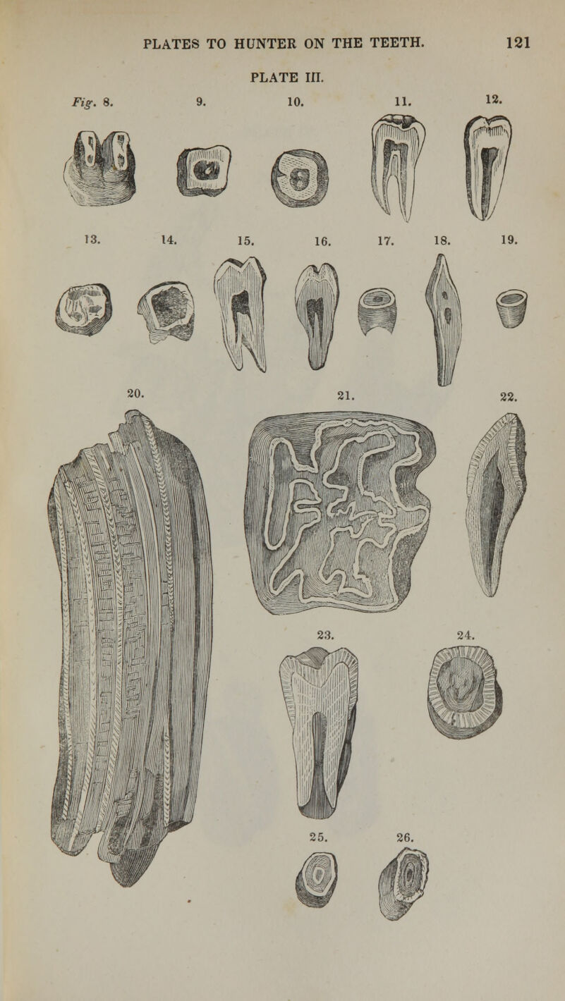 PLATE III. 9. 10.