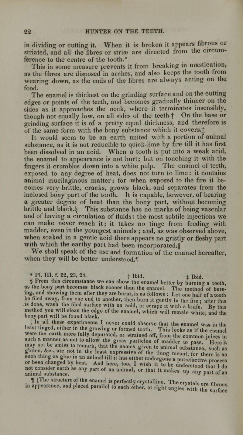 in dividing or cutting it. When it is broken it appears fibrous or striated, and all the fibres or stria) are directed from the circum- ference to the centre of the tooth.* This in some measure prevents it from breaking in mastication, as the fibres are disposed in arches, and also keeps the tooth from wearing down, as the ends of the fibres are always acting on the food. The enamel is thickest on the grinding surface and on the cutting edges or points of the teeth, and becomes gradually thinner on the sides as it approaches the neck, where it terminates insensibly, though not equally low, on all sides of the teeth.f On the base or grinding surface it is of a pretty equal thickness, and therefore is of the same form with the bony substance which it covers.J It would seem to be an earth united with a portion of animal substance, as it is not reducible to quick-lime by fire till it has first been dissolved in an acid. When a tooth is put into a weak acid, the enamel to appearance is not hurt; but on touching it with the fingers it crumbles down into a white pulp. The enamel of teeth, exposed to any degree of heat, does not turn to lime: it contains animal mucilaginous matter; for when exposed to the fire it be- comes very brittle, cracks, grows black, and separates from the inclosed bony part of the tooth. It is capable, however, of bearing a greater degree of heat than the bony part, without becoming brittle and black.§ This substance has no marks of being vascular and of having a circulation of fluids: the most subtile injections we can make never reach it; it takes no tinge from feeding with madder, even in the youngest animals ; and, as was observed above, when soaked in a gentle acid there appears no gristly or fleshy part with which the earthy part had been incorporated.|| We shall speak of the use and formation of the enamel hereafter, when they will be better understood.1T * PI. III. f. 22, 23, 24. f Ibid. J Ibid. § From this circumstance we can show the enamel better by burning a tooth, as the bony part becomes black sooner than the enamel. The method3 of burn- ing, and showing them after they are burnt, is as follows : Let one half of a tooth be filed away, from one end to another, then burn it gently in the fire ; after this .is done, wash the filed surface with an acid, or scrape it with a knife. By this method you will clean the edge of the enamel, which will remain white, and the bony part will be found black. |j In all these experiments 1 never could observe that the enamel was in the least tinged, either in the growing or formed tooth. This looks as if the enamel were the earth more fully depurated, or strained off, from the common juices in such a manner as not to allow the gross particles of madder to pass Here it may not be amiss to remark, that the names given to animal substance, such as gluten &c, are not in the least expressive of the thing meant, fo? there is no oTbe n'cn^iX'UaT A™,! f  T *? 1^°™ * P^-facVve pro es or been changed by heat. And here, too, I wish it to be understood th-it I do