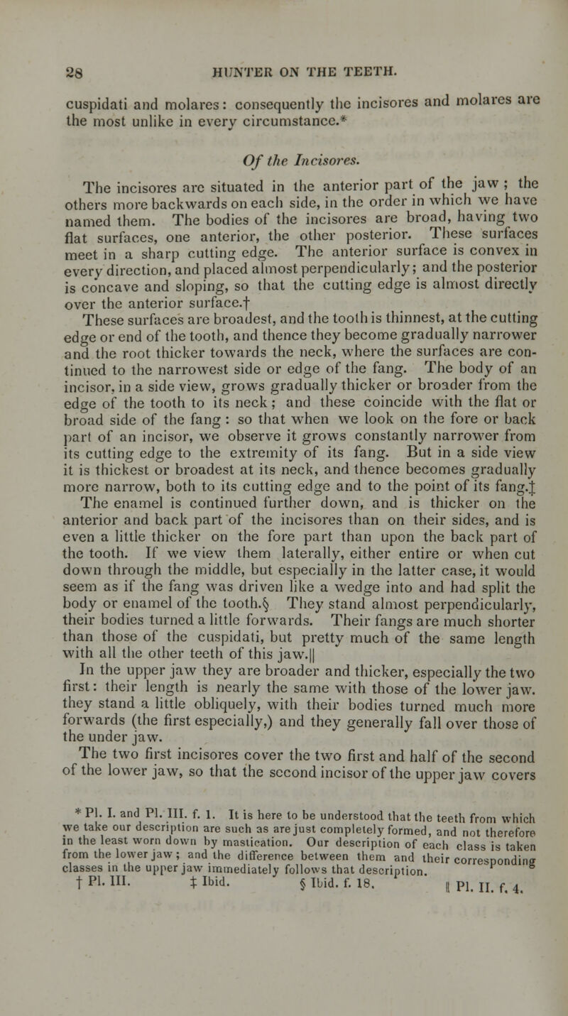 cuspidati and molares: consequently the incisores and molares are the most unlike in every circumstance.* Of the Incisores. The incisores arc situated in the anterior part of the jaw ; the others more backwards on each side, in the order in which we have named them. The bodies of* the incisores are broad, having two flat surfaces, one anterior, the other posterior. These surfaces meet in a sharp cutting edge. The anterior surface is convex in every direction, and placed almost perpendicularly; and the posterior is concave and sloping, so that the cutting edge is almost directly over the anterior surface.f These surfaces are broadest, and the tooth is thinnest, at the cutting edge or end of the tooth, and thence they become gradually narrower and the root thicker towards the neck, where the surfaces are con- tinued to the narrowest side or edge of the fang. The body of an incisor, in a side view, grows gradually thicker or broader from the edge of the tooth to its neck; and these coincide with the flat or broad side of the fang : so that when we look on the fore or back part of an incisor, we observe it grows constantly narrower from its cutting edge to the extremity of its fang. But in a side view it is thickest or broadest at its neck, and thence becomes gradually more narrow, both to its cutting edge and to the point of its fang.J The enamel is continued further down, and is thicker on the anterior and back part of the incisores than on their sides, and is even a little thicker on the fore part than upon the back part of the tooth. If we view them laterally, either entire or when cut down through the middle, but especially in the latter case, it would seem as if the fang was driven like a wedge into and had split the body or enamel of the tooth.§ They stand almost perpendicularly, their bodies turned a little forwards. Their fangs are much shorter than those of the cuspidati, but pretty much of the same length with all the other teeth of this jaw.|| In the upper jaw they are broader and thicker, especially the two first: their length is nearly the same with those of the lower jaw. they stand a little obliquely, with their bodies turned much more forwards (the first especially,) and they generally fall over those of the under jaw. The two first incisores cover the two first and half of the second of the lower jaw, so that the second incisor of the upper jaw covers * PL I. and PL III. f. l. It is here to be understood that the teeth from which we take our description are such as are just completely formed, and not therefore in the least worn down by mastication. Our description of each class is taken from the lower jaw; and the difference between them and their corresponding classes in the upper jaw immediately follows that description t PI. HI. X Ibid. § Ibid. f. 18. || pi ii f 4
