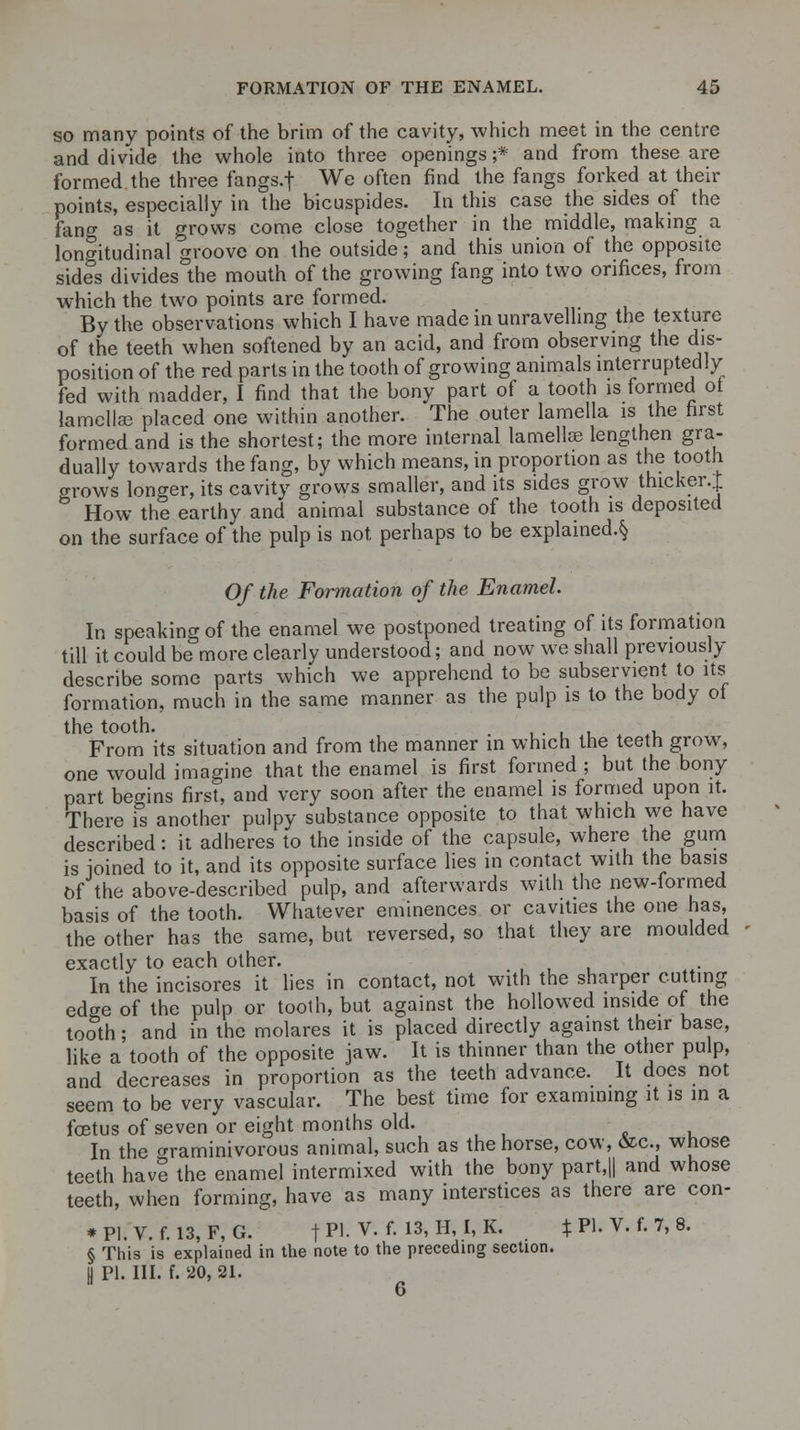 so many points of the brim of the cavity, which meet in the centre and divide the whole into three openings;* and from these are formed the three fangs.f We often find the fangs forked at their points, especially in the bicuspides. In this case the sides of the fang as it grows come close together in the middle, making a longitudinal groove on the outside; and this union of the opposite sides divides the mouth of the growing fang into two orifices, from which the two points are formed. By the observations which I have made in unravelling the texture of the teeth when softened by an acid, and from observing the dis- position of the red parts in the tooth of growing animals interruptedly fed with madder, I find that the bony part of a tooth is formed of lamellae placed one within another. The outer lamella is the first formed and is the shortest; the more internal lamellae lengthen gra- dually towards the fang, by which means, in proportion as the tooth <rrows longer, its cavity grows smaller, and its sides grow thicker. J ° How the earthy and animal substance of the tooth is deposited on the surface of the pulp is not perhaps to be explained.^ Of the Formation of the Enamel. In speaking of the enamel we postponed treating of its formation till it could be more clearly understood; and now we shall previously describe some parts which we apprehend to be subservient to its formation, much in the same manner as the pulp is to the body ot the tooth. . . From its situation and from the manner in which the teeth grow, one would imagine that the enamel is first formed ; but the bony part begins first, and very soon after the enamel is formed upon it. There is another pulpy substance opposite to that which we have described: it adheres to the inside of the capsule, where the gum is ioined to it, and its opposite surface lies in contact with the basis Of the above-described pulp, and afterwards with the new-formed basis of the tooth. Whatever eminences or cavities the one has, the other has the same, but reversed, so that they are moulded exactly to each other. In the incisores it lies in contact, not with the sharper cutting edge of the pulp or tooth, but against the hollowed inside of the tooth; and in the molares it is placed directly against their base, like a tooth of the opposite jaw. It is thinner than the other pulp, and decreases in proportion as the teeth advance. It does not seem to be very vascular. The best time for examining it is in a foetus of seven or eight months old. ' In the graminivorous animal, such as the horse, cow, &c, whose teeth have the enamel intermixed with the bony part,|| and whose teeth, when forming, have as many interstices as there are con- *PI.V. f. 13, F, G. |P]. V. f. 13, H, I, K. % PI. V. f. 7, 8. § This is explained in the note to the preceding section. II PI. III. f. 20, 21.  6