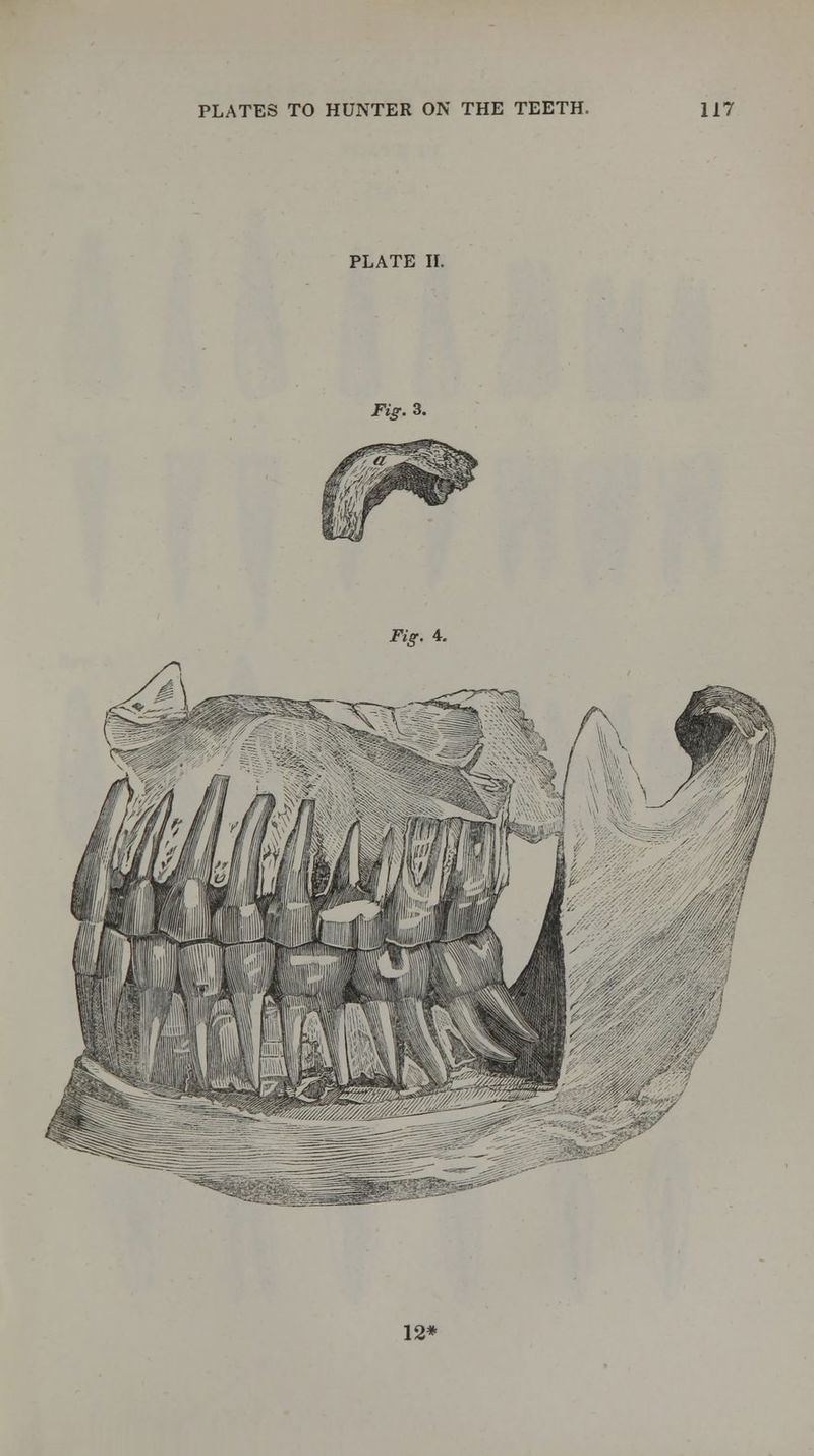 PLATE II. Fig. 3. Fig. 4. 12*