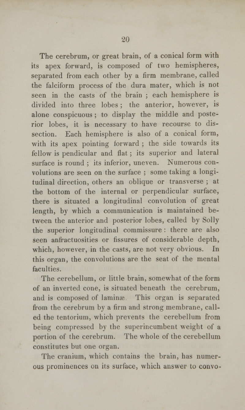 The cerebrum, or great brain, of a conical form with its apex forward, is composed of two hemispheres, separated from each other by a firm membrane, called the falciform process of the dura mater, which is not seen in the casts of the brain ; each hemisphere is divided into three lobes ; the anterior, however, is alone conspicuous ; to display the middle and poste- rior lobes, it is necessary to have recourse to dis- section. Each hemisphere is also of a conical form, with its apex pointing forward ; the side towards its fellow is pendicular and flat; its superior and lateral surface is round ; its inferior, uneven. Numerous con- volutions are seen on the surface ; some taking a longi- tudinal direction, others an oblique or transverse ; at the bottom of the internal or perpendicular surface, there is situated a longitudinal convolution of great length, by which a communication is maintained be- tween the anterior and posterior lobes, called by Solly the superior longitudinal commissure : there are also seen anfractuosities or fissures of considerable depth, which, however, in the casts, are not very obvious. In this organ, the convolutions are the seat of the mental faculties. The cerebellum, or little brain, somewhat of the form of an inverted cone, is situated beneath the cerebrum, and is composed of laminae, This organ is separated from the cerebrum by a firm and strong membrane, call- ed the tentorium, which prevents the cerebellum from being compressed by the superincumbent weight of a portion of the cerebrum. The whole of the cerebellum constitutes but one organ. The cranium, which contains the brain, has numer- ous prominences on its surface, which answer to convo-