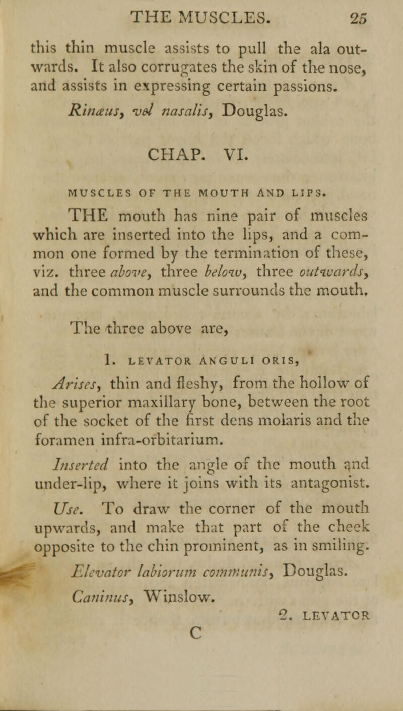 this thin muscle assists to pull the ala out- wards. It also corrugates the skin of the nose, and assists in expressing certain passions. RhiauSf vel nasalis> Douglas. CHAP. VI. MUSCLES OF THE MOUTH AND LIPS. THE mouth has nine pair of muscles which are inserted into the lips, and a com- mon one formed by the termination of these, viz. three above, three below, three outwards, and the common muscle surrounds the mouth. The three above are, 1. LEVATOR ANGULI ORIS, Arises, thin and fleshy, from the hollow of the superior maxillary bone, between the root of the socket of the first dens molaris and the foramen infra-orbitarium. Inserted into the angle of the mouth and under-lip, where it joins with its antagonist. Use. To draw the corner of the mouth upwards, and make that part of the check opposite to the chin prominent, as in smiling. Elevator labiorum communis, Douglas. Caninus, Winslow. 1. LEVATOR c