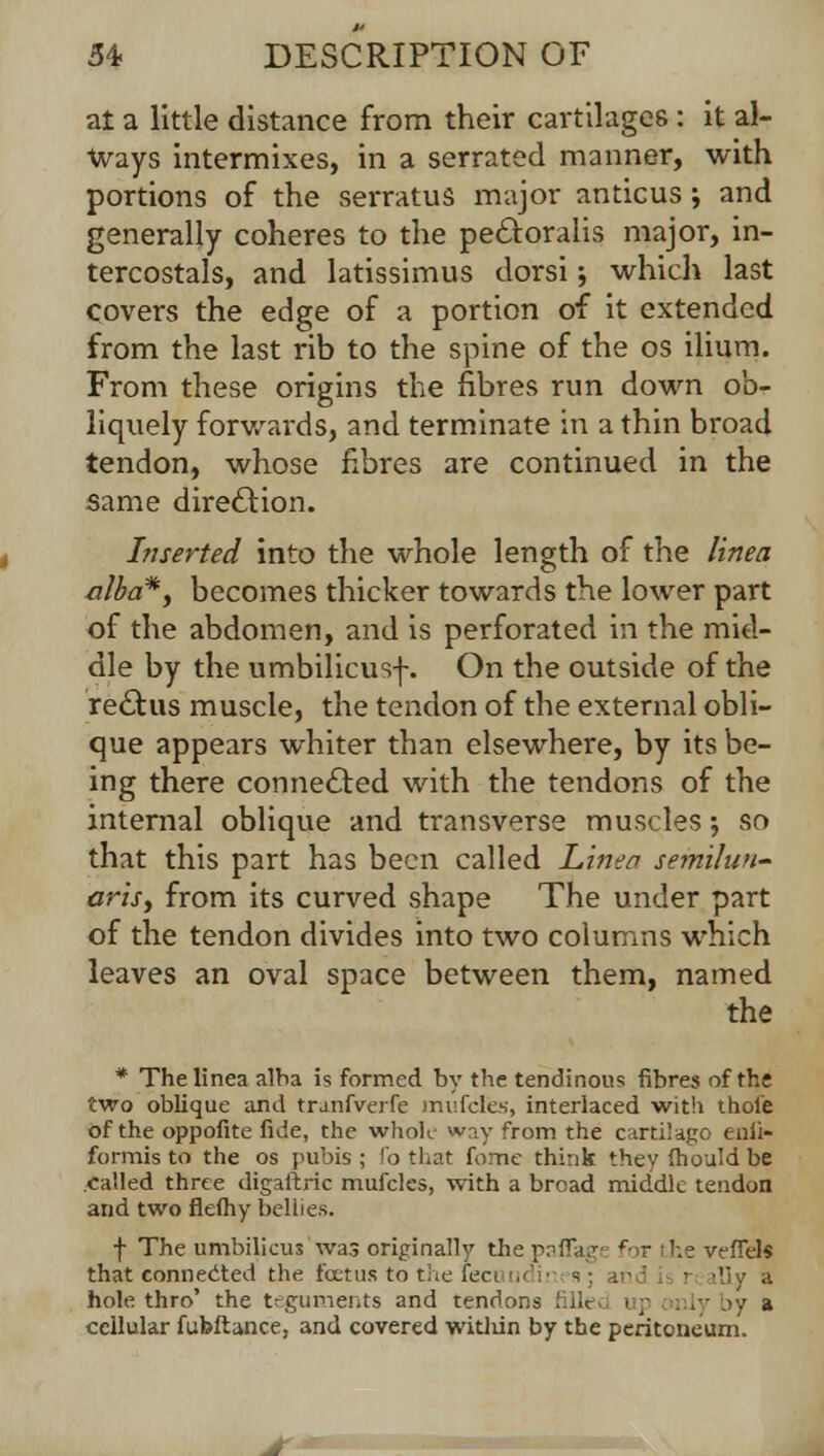 at a little distance from their cartilages : it al- ways intermixes, in a serrated manner, with portions of the serratus major anticus; and generally coheres to the pe£toraiis major, in- tercostals, and latissimus dorsi; which last covers the edge of a portion of it extended from the last rib to the spine of the os ilium. From these origins the fibres run down ob- liquely forwards, and terminate in a thin broad tendon, whose fibres are continued in the same direction. Inserted into the whole length of the linea alba*, becomes thicker towards the lower part of the abdomen, and is perforated in the mid- dle by the umbilicusf. On the outside of the re£his muscle, the tendon of the external obli- que appears whiter than elsewhere, by its be- ing there connected with the tendons of the internal oblique and transverse muscles; so that this part has been called Linen semilun- aris, from its curved shape The under part of the tendon divides into two columns which leaves an oval space between them, named the * The linea alba is formed by the tendinous fibres of the two oblique arid tranfverfe mufcles, interlaced with thole of the oppofite fide, the whole way from the cartilage enii- formis to the os pubis ; fo that Come think they fhould be called three digaftric mufcles, with a bread middle tendon and two flefhy bellies. f The umbilicus was originally the pafli --ffel* that connected the foetus to the fee. hole thro' the teguments and ten'1 t>y a cellular fubftance, and covered witliin by the peritoneum.