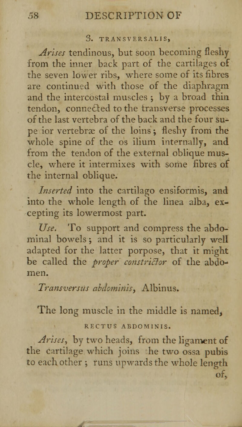 3. TRANSVERSALIS, Arises tendinous, but soon becoming fleshy from the inner back part of the cartilages of the seven lower ribs, where some of its fibres are continued with those of the diaphragm and the intercostal muscles ; by a broad thin tendon, connected to the transverse processes of the last vertebra of the back and the four su- pe ior vertebrae of the loins; fleshy from the whole spine of the os ilium internally, and from the tendon of the external oblique mus- cle, where it intermixes with some fibres of the internal oblique. Inserted into the cartilago ensiformis, and into the whole length of the linea alba, ex- cepting its lowermost part. Use. To support and compress the abdo- minal bowels; and it is so particularly well adapted for the latter porpose, that it might be called the proper constrictor of the abdo- men. Transversus abdominis, Albinus. The long muscle in the middle is named, RECTUS ABDOMINIS. Arises., by two heads, from the ligament of the cartilage which joins he two ossa pubis to each other •, runs upwards the whole length of,