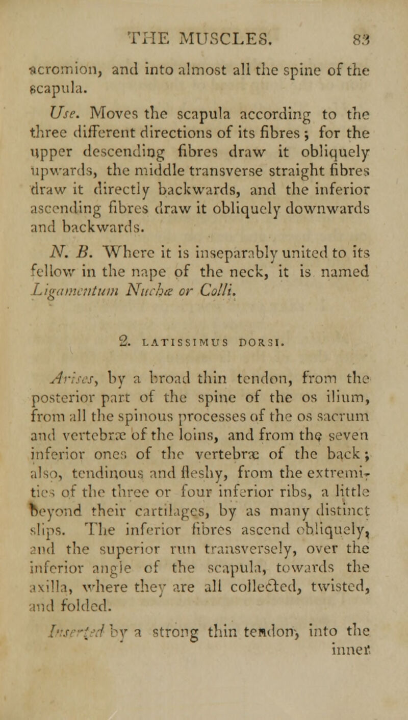 union, and into almost all the spine of the scapula. Use. Moves the scapula according to the three different directions of its fibres ; for the upper descending fibres draw it obliquely upwards, the middle transverse straight fibres draw it directly backwards, and the inferior ascending fibres draw it obliquely downwards and backwards. N. B. Where it is inseparably united to its fellow in the nape of the neck, it is named Ligamctitum Nuck& or Colli. LZ. LATISSIMUS DOR 31. Arises, by a broad thin tendon, from the posterior part of the spine of the os ilium, from all the spinous processes of the os sacrum and vertebrae of the loins, and from the seven inferior ones of the vertebnc of the back; also, tendinous and fleshy, from the extremiT ties o.f the three or four inferior ribs, a little beyond their cartilages, by as many distinct >!ips. The inferior fibres ascend obliquely, and the superior run transversely, over the inferior angle of the scapula, towards the axilla, where they are all collected, twisted, md folded. [rtserfcdby a strong thin tendon, into the inner