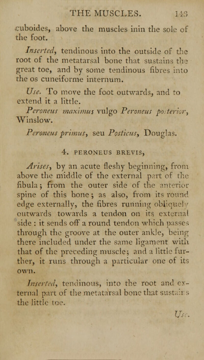 cuboides, above the muscles inin die sole of the foot. Inserted, tendinous into the outside of die root of the metatarsal bone that sustains tfre great toe, and by some tendinous fibres into die os cuneiforme internum. Use. To move the foot outwards, and to extend it a little. Peronetts maximui vulgo Peroneus posterior, Winslow. Peroneus primus, seu Posticus, Douglas. 4. PF.RONEUS BRE.VIS, Arises, by an acute fleshy beginning, from above the middle of the external part of the fibula ; from the outer side of the anterior spine of this hone; as also, from its round ec\^e externally, the fibres running obliquely outwards towards a tendon on its external side : it sends off a round tendon which passes through the groove at the outer ankle, being there included under the same ligament with that of the preceding muscle; and a little fur- ther, it runs through a particular one of its own. Inserted, tendinous, into the root and ex- ternal part of the metatarsal bone that sustah s the little toe.