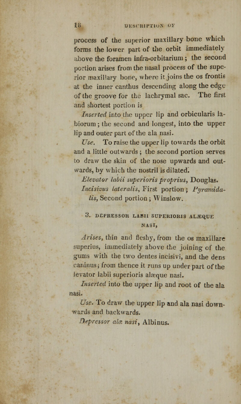 process of the superior maxillary bone which forms the lower part of the orbit immediately above the foramen infra-orbitarium; the second portion arises from the nasal process of the supe- rior maxillary bone, where it joins the os frontis at the inner canthus descending along the edge of the groove for the lachrymal sac. The first and shortest portion is Inserted into the upper lip and orbicularis la- biorum ; the second and longest, into the upper lip and outer part of the ala nasi. Use. To raise the upper lip towards the orbit and a little outwards; the second portion serves to draw the skin of the nose upwards and out- wards, by which the nostril is dilated! Elevator labii svperioris proprius, Douglas. Incisivus lateralis, First portion; Pyramida- lis, Second portion ; YV inslow. 3. DEPRESSOR LABII SUPERIORIS AL^^UE NASI, Arises, thin and fleshy, from the os maxillare superius, immediately above the joining of the gums with the two dentes incisivi, and the dens canimis; from thence it runs up under part of the levator labii superioris alnsque nasi. Inserted into the upper lip and root of the ala nasi. Use. To draw the upper lip and ala nasi down- wards and backwards. Depressor alee nasit Albinus.
