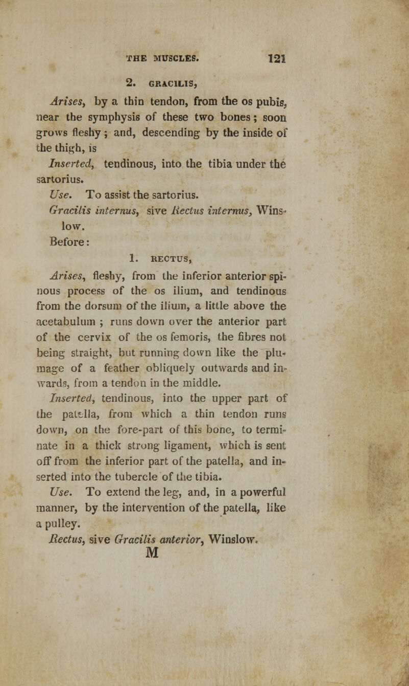 2. GRACILIS, Arises, by a thin tendon, from the os pubis, near the symphysis of these two bones; soon grows fleshy; and, descending by the inside of the thigh, is Inserted, tendinous, into the tibia under the sartorius. Use. To assist the sartorius. Gracilis internus, sive Rectus internus, Wins- low. Before: 1. RECTUS, Arises, fleshy, from the inferior anterior spi- nous process of the os ilium, and tendinous from the dorsum of the ilium, a little above the acetabulum ; runs down over the anterior part of the cervix of the os femoris, the fibres not being straight, but running down like the plu- mage of a feather obliquely outwards and in- wards, from a tendon in the middle. Inserted, tendinous, into the upper part of the palilla, from which a thin tendon runs down, on the fore-part of this bone, to termi- nate in a thick strong ligament, which is sent off from the inferior part of the patella, and in- serted into the tubercle of the tibia. Use. To extend the leg, and, in a powerful manner, by the intervention of the patella, like a pulley. Rectus, sive Gracilis anterior, Winslow. M