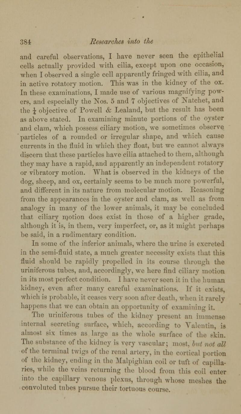 and careful observations, I have never seen the epithelial cells actually provided with cilia, except upon one occasion, when I observed a single cell apparently fringed with cilia, and in active rotatory motion. This was in the kidney of the ox. In these examinations, I made use of various magnifying pow- ers, and especially the Nos. 5 and 7 objectives of Katchet, and the \ objective of Powell & Lealand, but the result has been as above stated. In examining minute portions of the oyster and clam, which possess ciliary motion, we sometimes observe particles of a rounded or irregular shape, and which cause currents in the fluid in which they float, but we cannot always discern that these particles have cilia attached to them, although they may have a rapid, and apparently an independent rota^ or vibratory motion. What is observed in the kidneys of the dog, sheep, and ox, certainly seems to be much more powerful, and different in its nature from molecular motion. Reasoning from the appearances in the oyster and clam, as well as from analogy in many of the lower animals, it may be concluded that ciliary niotion does exist in those of a higher grade, although it is, in them, very imperfect, or, as it might perhaps be said, in a rudimentary condition. In some of the inferior animals, where the urine is excreted in the semi-fluid state, a much greater necessity exists that this fluid should be rapidly propelled in its course through the uriniferous tubes, and, accordingly, we here find ciliary motion in its most perfect condition. I have never seen it in the human kidney, even after many careful examinations. If i which is probable, it ceases very soon after death, when it rarely happens that we can obtain an opportunity oi' examining it. The uriniferous tubes of the kidney present an immense internal secreting surface, which, according to Valentin, is almost siv times as large as the whole surface o\' the skin. The substance of the kidney Is very vascular; moat, ; aU of the terminal twigs of the renal artery, in the cortical portion of the kidney, ending in the Rfalpighian coil or tuft <^\ capilla- ries, while the veins returning the blood from this coil enter into the capillary venous plexus, through whose meshes the convoluted tubes pursue their tortuous course.