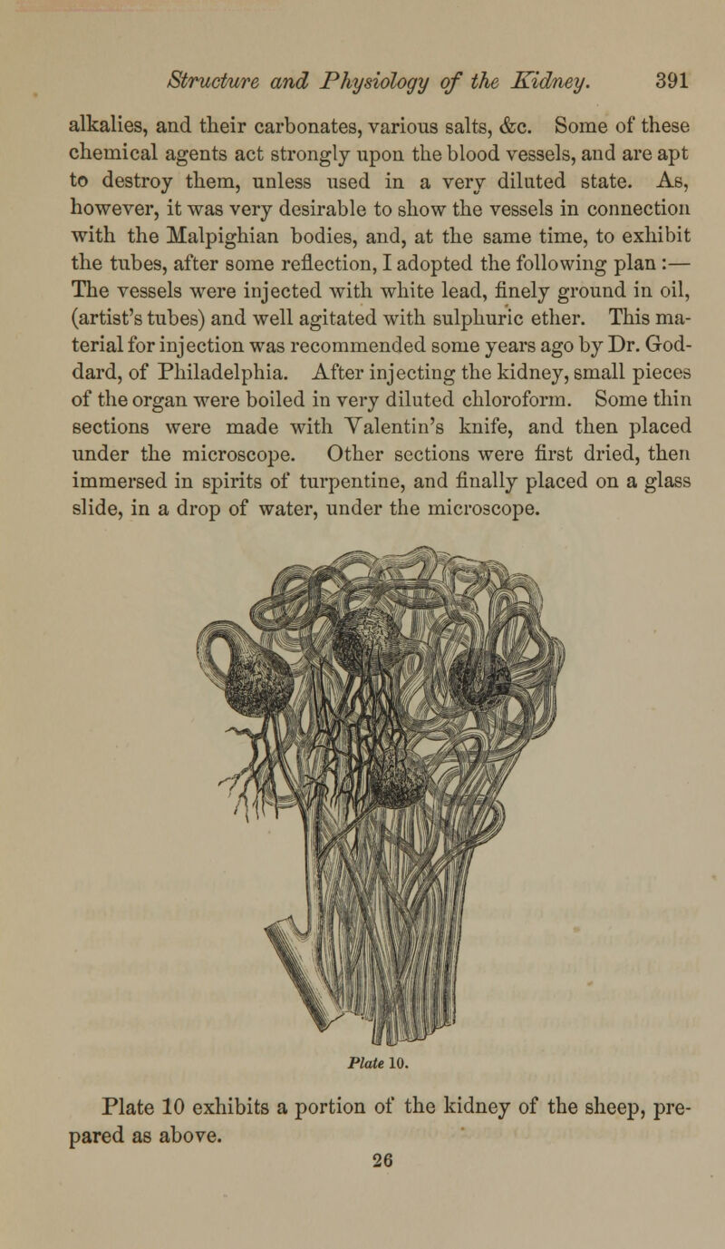 alkalies, and their carbonates, various salts, &c. Some of these chemical agents act strongly upon the blood vessels, and are apt to destroy them, unless used in a very dilated state. As, however, it was very desirable to show the vessels in connection with the Malpighian bodies, and, at the same time, to exhibit the tubes, after some reflection, I adopted the following plan:— The vessels were injected with white lead, finely ground in oil, (artist's tubes) and well agitated with sulphuric ether. This ma- terial for injection was recommended some years ago by Dr. God- dard, of Philadelphia. After injecting the kidney, small pieces of the organ were boiled in very diluted chloroform. Some thin sections were made with Valentin's knife, and then placed under the microscope. Other sections were first dried, then immersed in spirits of turpentine, and finally placed on a glass slide, in a drop of water, under the microscope. Plate 10. Plate 10 exhibits a portion of the kidney of the sheep, pre- pared as above. 26