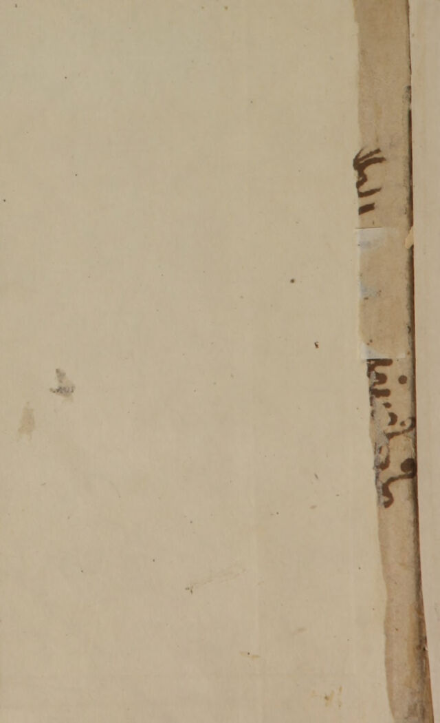 digitised image 2