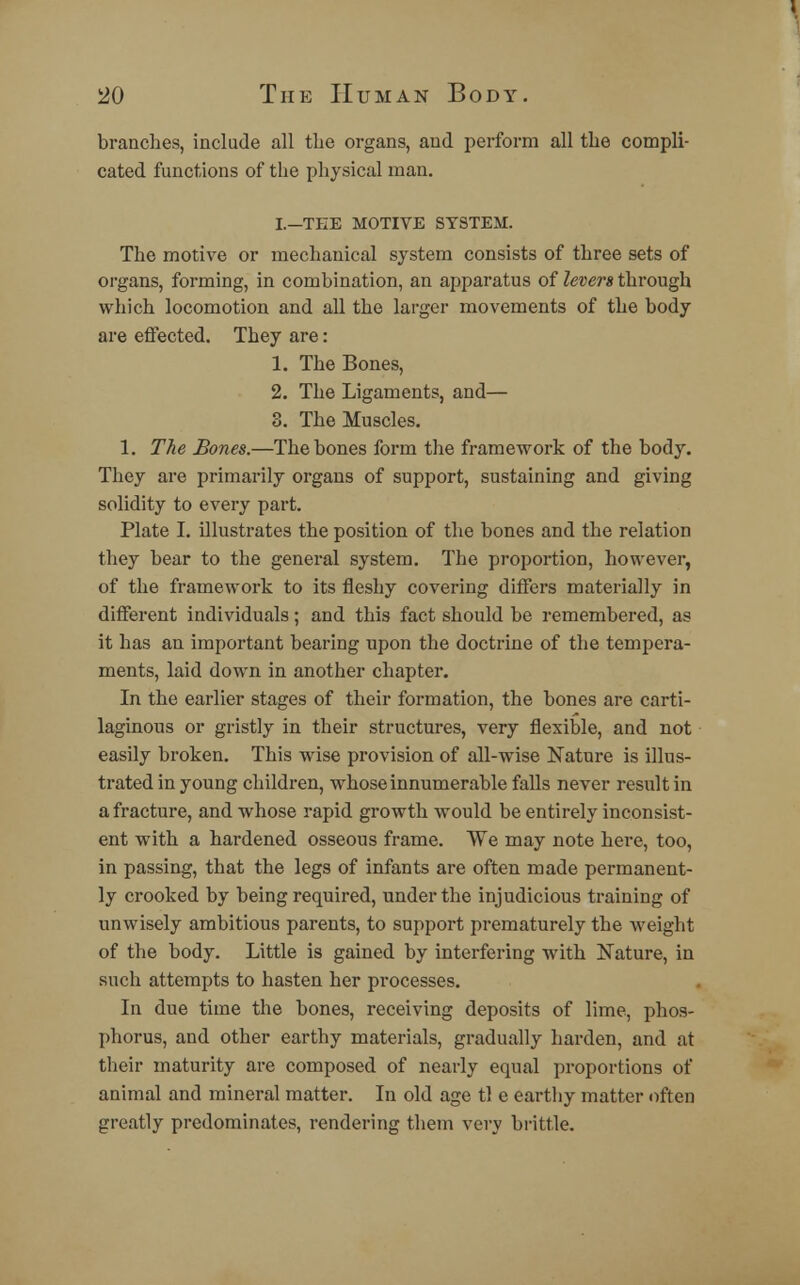 branches, include all the organs, and perform all the compli- cated functions of the physical man. I.—TEE MOTIVE SYSTEM. The motive or mechanical system consists of three sets of organs, forming, in combination, an apparatus of levers through which locomotion and all the larger movements of the body are effected. They are: 1. The Bones, 2. The Ligaments, and— 3. The Muscles. 1. The Bones.—The bones form the framework of the body. They are primarily organs of support, sustaining and giving solidity to every part. Plate I. illustrates the position of the bones and the relation they bear to the general system. The proportion, however, of the framework to its fleshy covering differs materially in different individuals; and this fact should be remembered, as it has an important bearing upon the doctrine of the tempera- ments, laid down in another chapter. In the earlier stages of their formation, the bones are carti- laginous or gristly in their structures, very flexible, and not easily broken. This wise provision of all-wise Nature is illus- trated in young children, whose innumerable falls never result in a fracture, and whose rapid growth would be entirely inconsist- ent with a hardened osseous frame. We may note here, too, in passing, that the legs of infants are often made permanent- ly crooked by being required, under the injudicious training of unwisely ambitious parents, to support prematurely the weight of the body. Little is gained by interfering with Nature, in such attempts to hasten her processes. In due time the bones, receiving deposits of lime, phos- phorus, and other earthy materials, gradually harden, and at their maturity are composed of nearly equal proportions of animal and mineral matter. In old age tl e earthy matter often greatly predominates, rendering them very brittle.