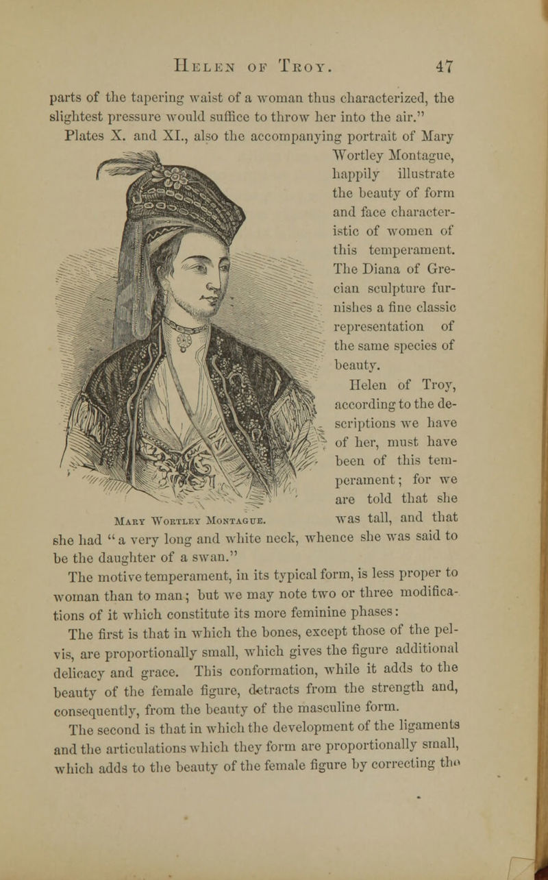 parts of the tapering waist of a woman thus characterized, the slightest pressure would suffice to throw her into the air. Plates X. and XL, also the accompanying portrait of Mary Wortley Montague, happily illustrate the beauty of form and face character- istic of women of this temperament. The Diana of Gre- cian sculpture fur- nishes a fine classic representation of the same species of beauty. Helen of Troy, according to the de- scriptions we have 7 of her, must have been of this tem- perament ; for we are told that she Makt Wortley Montague. was tall, and that she had  a very long and white neck, whence she was said to be the daughter of a swan. The motive temperament, in its typical form, is less proper to woman than to man; but we may note two or three modifica- tions of it which constitute its more feminine phases: The first is that in which the bones, except those of the pel- vis, are proportionally small, which gives the figure additional delicacy and grace. This conformation, while it adds to the beauty of the female figure, detracts from the strength and, consequently, from the beauty of the masculine form. The second is that in which the development of the ligaments and the articulations which they form are proportionally small, which adds to the beauty of the female figure by correcting tho