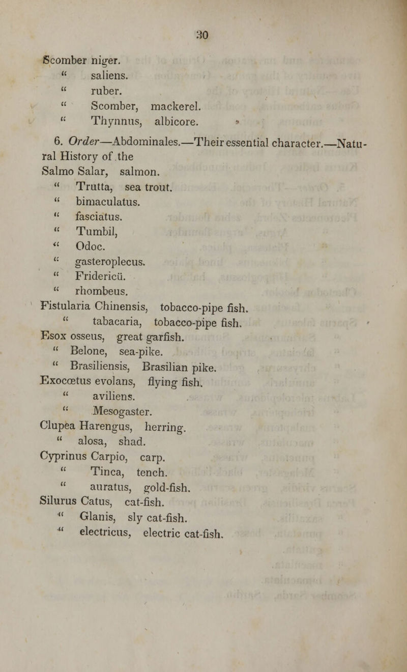Scomber niger.  saliens.  ruber.  Scomber, mackerel. K Thynnus, albicore. 6. Order—Abdominales.—Their essential character.—Natu- ral History of the Salmo Salar, salmon.  Trutta, sea trout.  bimaculatus.  fasciatus.  Tumbil, « Odoc.  gasteroplecus.  Fridericu.  rhombeus. Fistularia Chinensis, tobacco-pipe fish.  tabacaria, tobacco-pipe fish. Esox osseus, great garfish.  Belone, sea-pike.  Brasiliensis, Brasilian pike. Exoccetus evolans, flying fish.  aviliens.  Mesogaster. Clupea Harengus, herring.  alosa, shad. Cyprinus Carpio, carp.  Tinea, tench.  auratus, gold-fish. Silurus Catus, cat-fish.  Glanis, sly cat-fish.  electricus, electric cat-fish.