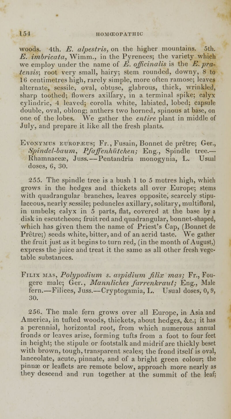 woods. 4th. E. alpestris, on the higher mountains. 5th. E. imbricata, Wimm., in the Pyrenees; the variety which we employ under the name of E. officinalis is the E. pra- tensis; root very small, hairy; stem rounded, downy, 8 to 16 centimetres high, rarely simple, more often ramose; leaves alternate, sessile, oval, ohtuse, glabrous, thick, wrinkled, sharp toothed; flowers axillary, in a terminal spike; calyx cylindric, 4 leaved; corolla white, labiated, lobed; capsule double, oval, oblong; anthers two horned, spinous at base, on one of the lobes. We gather the entire plant in middle of July, and prepare it like all the fresh plants. Evonymus EUROPiEus; Fr., Fusain, Bonnet de pretre; Ger., Spindel-baum, Pfaffenhi'itchen; Eng., Spindle tree.— Rhamnaceae, Juss. — Pentandria monogynia, L. Usual doses, 6, 30. 255. The spindle tree is a bush 1 to 5 metres high, which grows in the hedges and thickets all over Europe; stems with quadrangular branches, leaves opposite, scarcely stipu- laceous, nearly vsessile; peduncles axillary, solitary, multifloral, in umbels; calyx in 5 parts, flat, covered at the base by a disk in escutcheon; fruit red and quadrangular, bonnet-shaped, which has given them the name of Priest's Cap, (Bonnet de Pretre;) seeds white, bitter, and of an acrid taste. We gather the fruit just as it begins to turn red, (in the month of August,) express the juice and treat it the same as all other fresh vege- table substances. Filix mas, Polypodium s. aspidium filix mas; Fr., Fou- gere male; Ger., Mannliches farrenkraat; Eng., Male fern.—Filices, Juss.—Cryptogamia, L. Usual doses, 0, 9, 30. 256. The male fern grows over all Europe, in Asia and America, in tufted woods, thickets, about hedges, &c; it has a perennial, horizontal root, from which numerous annual fronds or leaves arise, forming tufts from a foot to four feet in height; the stipule or footstalk and midrif are thickly beset with brown, tough, transparent scales; the frond itself is oval, lanceolate, acute, pinnate, and of a bright green colour; the pinnae or leaflets are remote below, approach more nearly as they descend and run together at the summit of the leaf;