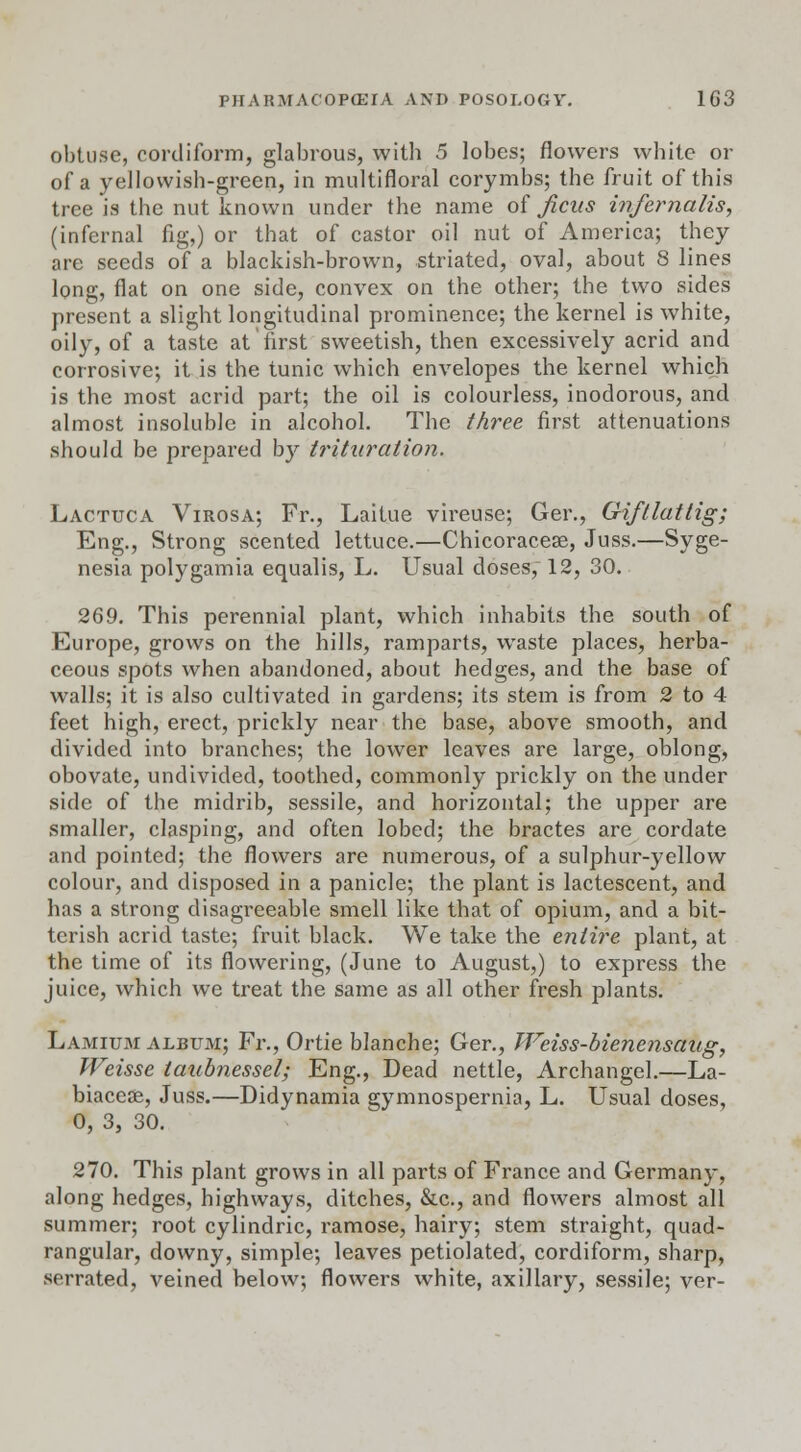 obtuse, cordiform, glabrous, with 5 lobes; flowers white or of a yellowish-green, in multifloral corymbs; the fruit of this tree is the nut known under the name of Jicus infernalis, (infernal fig,) or that of castor oil nut of America; they are seeds of a blackish-brown, striated, oval, about 8 lines long, flat on one side, convex on the other; the two sides present a slight longitudinal prominence; the kernel is white, oily, of a taste at first sweetish, then excessively acrid and corrosive; it is the tunic which envelopes the kernel which is the most acrid part; the oil is colourless, inodorous, and almost insoluble in alcohol. The three first attenuations should be prepared by trituration. Lactuca Virosa; Fr., Laitue vireuse; Ger., Giftlattig; Eng., Strong scented lettuce.—Chicoracese, Juss.—Syge- nesia polygamia equalis, L. Usual doses, 12, 30. 269. This perennial plant, which inhabits the south of Europe, grows on the hills, ramparts, waste places, herba- ceous spots when abandoned, about hedges, and the base of walls; it is also cultivated in gardens; its stem is from 2 to 4 feet high, erect, prickly near the base, above smooth, and divided into branches; the lower leaves are large, oblong, obovate, undivided, toothed, commonly prickly on the under side of the midrib, sessile, and horizontal; the upper are smaller, clasping, and often lobed; the bractes are cordate and pointed; the flowers are numerous, of a sulphur-yellow colour, and disposed in a panicle; the plant is lactescent, and has a strong disagreeable smell like that of opium, and a bit- terish acrid taste; fruit, black. We take the entire plant, at the time of its flowering, (June to August,) to express the juice, which we treat the same as all other fresh plants. Lamium album; Fr., Ortie blanche; Ger., Weiss-bienensaug, Weisse taubnessel; Eng., Dead nettle, Archangel.—La- biaceae, Juss.—Didynamia gymnospernia, L. Usual doses, 0, 3, 30. 270. This plant grows in all parts of France and Germany, along hedges, highways, ditches, &c, and flowers almost all summer; root cylindric, ramose, hairy; stem straight, quad- rangular, downy, simple; leaves petiolated, cordiform, sharp, serrated, veined below; flowers white, axillary, sessile; ver-