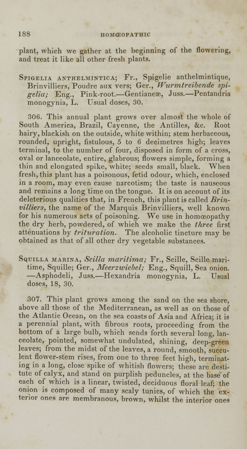 plant, which we gather at the beginning of the flowering, and treat it like all other fresh plants. Spigelia anthelmintics; Fr., Spigelie anthelmintique, Brinvilliers, Poudre aux vers; Ger., Wurmtreibende spi- gelia; Eng., Pink-root.—Gentianese, Juss.—Pentandria monogynia, L. Usual doses, 30. 306. This annual plant grows over almost the whole of South America, Brazil, Cayenne, the Antilles, &c. Root hairy, blackish on the outside, white within; stem herbaceous, rounded, upright, fistulous, 5 to 6 decimetres high; leaves terminal, to the number of four, disposed in form of a cross, oval or lanceolate, entire, glabrous; flowers simple, forming a thin and elongated spike, white; seeds small, black. When fresh, this plant has a poisonous, fetid odour, which, enclosed in a room, may even cause narcotism; the taste is nauseous and remains a long time on the tongue. It is on account of its deleterious qualities that, in French, this plant is called Brin- villiers, the name of the Marquis Brinvilliers, well known for his numerous acts of poisoning. We use in homoeopathy the dry herb, powdered, of which we make the three first attenuations by trituration. The alcoholic tincture may be obtained as that of all other dry vegetable substances. Squilla marina, Scilla maritirna; Fr., Scille, Scille mari- time, Squille; Ger., Meerzwiebel; Eng., Squill, Sea onion. —Asphodeli, Juss.—Hexandria monogynia, L. Usual doses, 18, 30. 307. This plant grows among the sand on the sea shore, above all those of the Mediterranean, as well as on those of the Atlantic Ocean, on the sea coasts of Asia and Africa; it is a perennial plant, with fibrous roots, proceeding from the bottom of a large bulb, which sends forth several long, lan- ceolate, pointed, somewhat undulated, shining, deep-green leaves; from the midst of the leaves, a round, smooth, succu- lent flower-stem rises, from one to three feet high, terminat- ing in a long, close spike of whitish flowers; these are desti- tute of calyx, and stand on purplish peduncles, at the base of each of which is a linear, twisted, deciduous floral leaf; the onion is composed of many scaly tunics, of which the ex- terior ones are membranous, brown, whilst the interior ones
