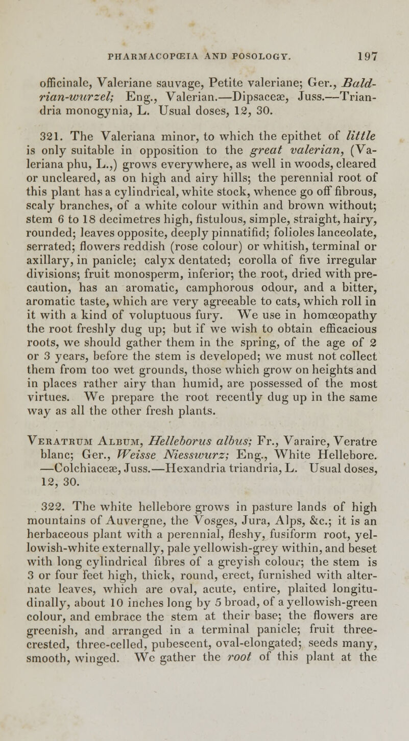officinale, Valeriane sauvage, Petite valeriane; Ger., Buld- rian-wurzel; Eng., Valerian.—Dipsacea?, Juss.—Trian- dria monogynia, L. Usual doses, 12, 30. 321. The Valeriana minor, to which the epithet of little is only suitable in opposition to the great valerian, (Va- leriana phu, L.,) grows everywhere, as well in woods, cleared or uncleared, as on high and airy hills; the perennial root of this plant has a cylindrical, white stock, whence go off fibrous, scaly branches, of a white colour within and brown without; stem 6 to 18 decimetres high, fistulous, simple, straight, hairy, rounded; leaves opposite, deeply pinnatifid; folioles lanceolate, serrated; flowers reddish (rose colour) or whitish, terminal or axillary, in panicle; calyx dentated; corolla of five irregular divisions; fruit monosperm, inferior; the root, dried with pre- caution, has an aromatic, camphorous odour, and a bitter, aromatic taste, which are very agreeable to cats, which roll in it with a kind of voluptuous fury. We use in homoeopathy the root freshly dug up; but if we wish to obtain efficacious roots, we should gather them in the spring, of the age of 2 or 3 years, before the stem is developed; we must not collect them from too wet grounds, those which grow on heights and in places rather airy than humid, are possessed of the most virtues. We prepare the root recently dug up in the same way as all the other fresh plants. Veratrum Album, Helleborus albus; Fr., Varaire, Veratre blanc; Ger., Weisse Niesswurz; Eng., White Hellebore. —Oolchiacese, Juss.—Hexandria triandria, L. Usual doses, 12, 30. 322. The white hellebore grows in pasture lands of high mountains of Auvergne, the Vosges, Jura, Alps, &c; it is an herbaceous plant with a perennial, fleshy, fusiform root, yel- lowish-white externally, pale yellowish-grey within, and beset with long cylindrical fibres of a greyish colour; the stem is 3 or four feet high, thick, round, erect, furnished with alter- nate leaves, which are oval, acute, entire, plaited longitu- dinally, about 10 inches long by 5 broad, of a yellowish-green colour, and embrace the stem at their base; the flowers are greenish, and arranged in a terminal panicle; fruit three- crested, three-celled, pubescent, oval-elongated; seeds many, smooth, winged. We gather the root of this plant at the