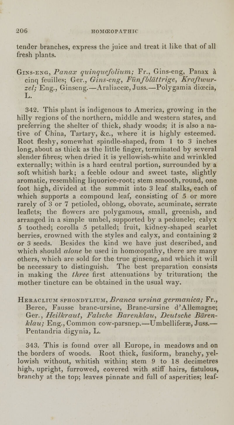 tender branches, express the juice and treat it like that of all fresh plants. Gins-eng, Panax quinquefolium; Fr., Gins-eng, Panax a cinq feuilles; Ger., Gins-eng, Funfblattrige, Kraftwur- zel; Eng., Ginseng.—Araliaceae, Juss.—Polygamia dicecia, L. 342. This plant is indigenous to America, growing in the hilly regions of the northern, middle and western states, and preferring the shelter of thick, shady woods; it is also a na- tive of China, Tartary, &c, where it is highly esteemed. Root fleshy, somewhat spindle-shaped, from 1 to 3 inches long, about as thick as the little finger, terminated by several slender fibres; when dried it is yellowish-white and wrinkled externally; within is a hard central portion, surrounded by a soft whitish bark; a feeble odour and sweet taste, slightly aromatic, resembling liquorice-root; stem smooth, round, one foot high, divided at the summit into 3 leaf stalks, each of which supports a compound leaf, consisting of 5 or more rarely of 3 or 7 petioled, oblong, obovate, acuminate, serrate leaflets; the flowers are polygamous, small, greenish, and arranged in a simple umbel, supported by a peduncle; calyx 5 toothed; corolla 5 petalled; fruit, kidney-shaped scarlet berries, crowned with the styles and calyx, and containing 2 or 3 seeds. Besides the kind we have just described, and which should alone be used in homoeopathy, there are many others, which are sold for the true ginseng, and which it will be necessary to distinguish. The best preparation consists in making the three first attenuations by trituration; the mother tincture can be obtained in the usual way. Heraclium sphondylium, Branca ursina germanica; Fr., Berce, Fausse branc-ursine, Branc-ursine d'Allemagne; Ger., Heilkraut, Falsche Barenklau, Deutsche Bdren- klau; Eng., Common cow-parsnep.—Umbelliferae, Juss.— Pentandria digynia, L. 343. This is found over all Europe, in meadows and on the borders of woods. Root thick, fusiform, branchy, yel- lowish without, whitish within; stem 9 to 18 decimetres high, upright, furrowed, covered with stiff hairs, fistulous, branchy at the top; leaves pinnate and full of asperities; leaf-
