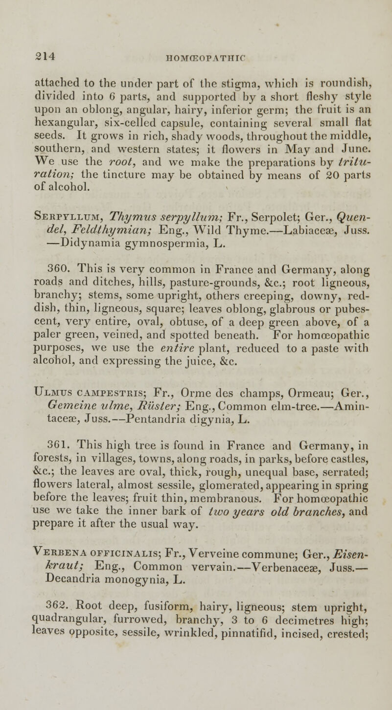 attached to the under part of the stigma, which is roundish, divided into 6 parts, and supported by a short fleshy style upon an oblong, angular, hairy, inferior germ; the fruit is an hexangular, six-celled capsule, containing several small flat seeds. It grows in rich, shady woods, throughout the middle, southern, and western states; it flowers in May and June. We use the root, and we make the preparations by tritu- ration; the tincture may be obtained by means of 20 parts of alcohol. Serpyllum, Thymus serpyllum; Fr., Serpolet; Ger., Quen- del, Feldthymian; Eng., Wild Thyme.—Labiaceae, Juss. —Didynamia gymnospermia, L. 360. This is very common in France and Germany, along roads and ditches, hills, pasture-grounds, &c; root ligneous, branchy; stems, some upright, others creeping, downy, red- dish, tbin, ligneous, square; leaves oblong, glabrous or pubes- cent, very entire, oval, obtuse, of a deep green above, of a paler green, veined, and spotted beneath. For homoeopathic purposes, we use the entire plant, reduced to a paste with alcohol, and expressing the juice, &c. Ulmus campestris; Fr., Orme des champs, Ormeau; Ger., Gcmeine ulme, JRiister; Eng., Common elm-tree.—Amin- taceae, Juss.—Pentandria digynia, L. 361. This high tree is found in France and Germany, in forests, in villages, towns, along roads, in parks, before castles, &c; the leaves are oval, thick, rough, unequal base, serrated; flowers lateral, almost sessile, glomerated, appearing in spring before the leaves; fruit thin, membranous. For homoeopathic use we take the inner bark of two years old branches, and prepare it after the usual way. Verbena officinalis; Fr., Verveine commune; Ger., Eisen- kraut; Eng., Common vervain.—Verbenaceae, Juss.— Decandria monogynia, L. 362. Root deep, fusiform, hairy, ligneous; stem upright, quadrangular, furrowed, branchy, 3 to 6 decimetres high; leaves opposite, sessile, wrinkled, pinnatifid, incised, crested;