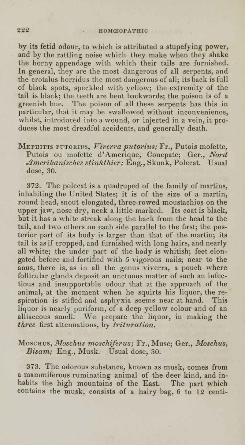by its fetid odour, to which is attributed a stupefying power, and by the rattling noise which they make when they shake the horny appendage with which their tails are furnished. In general, they are the most dangerous of all serpents, and the crotalus horridus the most dangerous of all; its back is full of black spots, speckled with )7ellow; the extremity of the tail is black; the teeth are bent backwards; the poison is of a greenish hue. The poison of all these serpents has this in particular, that it may be swallowed without inconvenience, whilst, introduced into a wound, or injected in a vein, it pro- duces the most dreadful accidents, and generally death. Mephitis putorius, Viverra putorius; Fr., Putois mofette, Putois ou mofette d'Amerique, Conepate; Ger., Nord Jlmerikanisches stinkthier; Eng., Skunk, Polecat. Usual dose, 30. 372. The polecat is a quadruped of the family of martins, inhabiting the United States; it is of the size of a martin, round head, snout elongated, three-rowed moustachios on the upper jaw, nose dry, neck a little marked. Its coat is black, but it has a white streak along the back from the head to the tail, and two others on each side parallel to the first; the pos- terior part of its body is larger than that of the martin; its tail is as if cropped, and furnished with long hairs, and nearly all white; the under part of the body is whitish; feet elon- gated before and fortified with 5 vigorous nails; near to the anus, there is, as in all the genus viverra, a pouch where follicular glands deposit an unctuous matter of such an infec- tious and insupportable odour that at the approach of the animal, at the moment when he squirts his liquor, the re- spiration is stifled and asphyxia seems near at hand. This liquor is nearly puriform, of a deep yellow colour and of an alliaceous smell. We prepare the liquor, in making the three first attenuations, by trituration. Moschus, Moschus moschiferus ; Fr., Muse; Ger., Moschus, Bisam; Eng., Musk. Usual dose, 30. 373. The odorous substance, known as musk, comes from a mammiferous ruminating animal of the deer kind, and in- habits the high mountains of the East. The part which contains the musk, consists of a hairy bag, 6 to 12 centi-