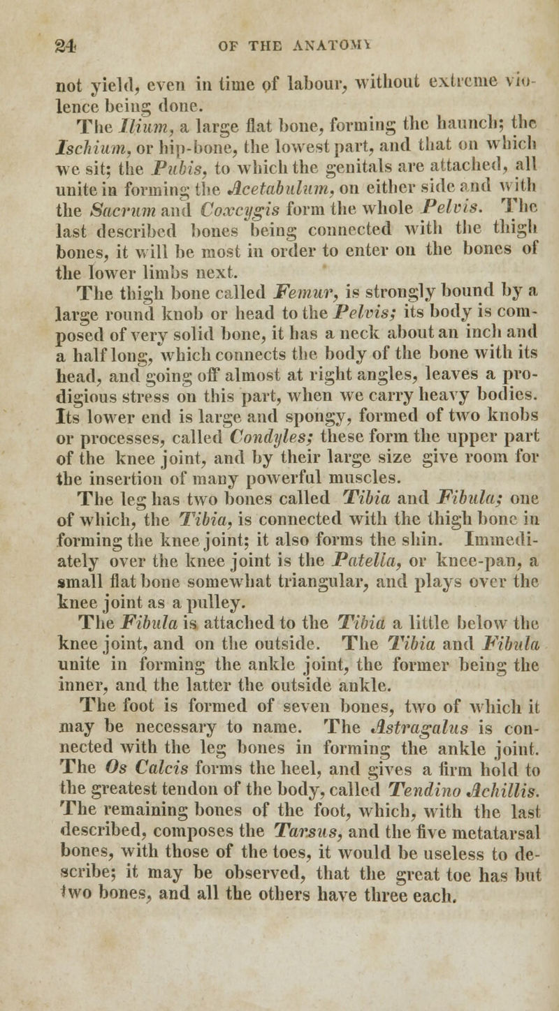 not yield, even in time pf labour, without extreme vio- lence being done. The Ilium, a large flat bone, forming the haunch; the Ischium, or hip-bone, the lowest part, and that on which we sit; the Pubis, to which the genitals are attached, all unite in forming the Acetabulum, on either side and with the Sacrum and Coxcygis form the whole Pelvis. The last described bones being connected with the thigh bones, it will be most in order to enter on the bones of the lower limbs next. The thigh bone called Femur, is strongly bound by a large round knob or head to the Pelvis; its body is com- posed of very solid bone, it has a neck about an inch and a half long, which connects the body of the bone with its head, and going off almost at right angles, leaves a pro- digious stress on this part, when we carry heavy bodies. Its lower end is large and spongy, formed of two knobs or processes, called Condyles; these form the upper part of the knee joint, and by their large size give room for the insertion of many powerful muscles. The leg has two bones called Tibia and Fibula; one of which, the Tibia, is connected with the thigh bone in forming the knee joint; it also forms the shin. Immedi- ately over the knee joint is the Patella, or knee-pan, a small flat bone somewhat triangular, and plays over the knee joint as a pulley. The Fibula is attached to the Tibia a little below the knee joint, and on the outside. The Tibia and Fibula unite in forming the ankle joint, the former being the inner, and the latter the outside ankle. The foot is formed of seven bones, two of which it may be necessary to name. The Astragalus is con- nected with the leg bones in forming the ankle joint. The Os Calcis forms the heel, and gives a firm hold to the greatest tendon of the body, called Tendino Achillis. The remaining bones of the foot, which, with the last described, composes the Tarsus, and the five metatarsal bones, with those of the toes, it would be useless to de- scribe; it may be observed, that the great toe has but *wo bones, and all the others have three each.